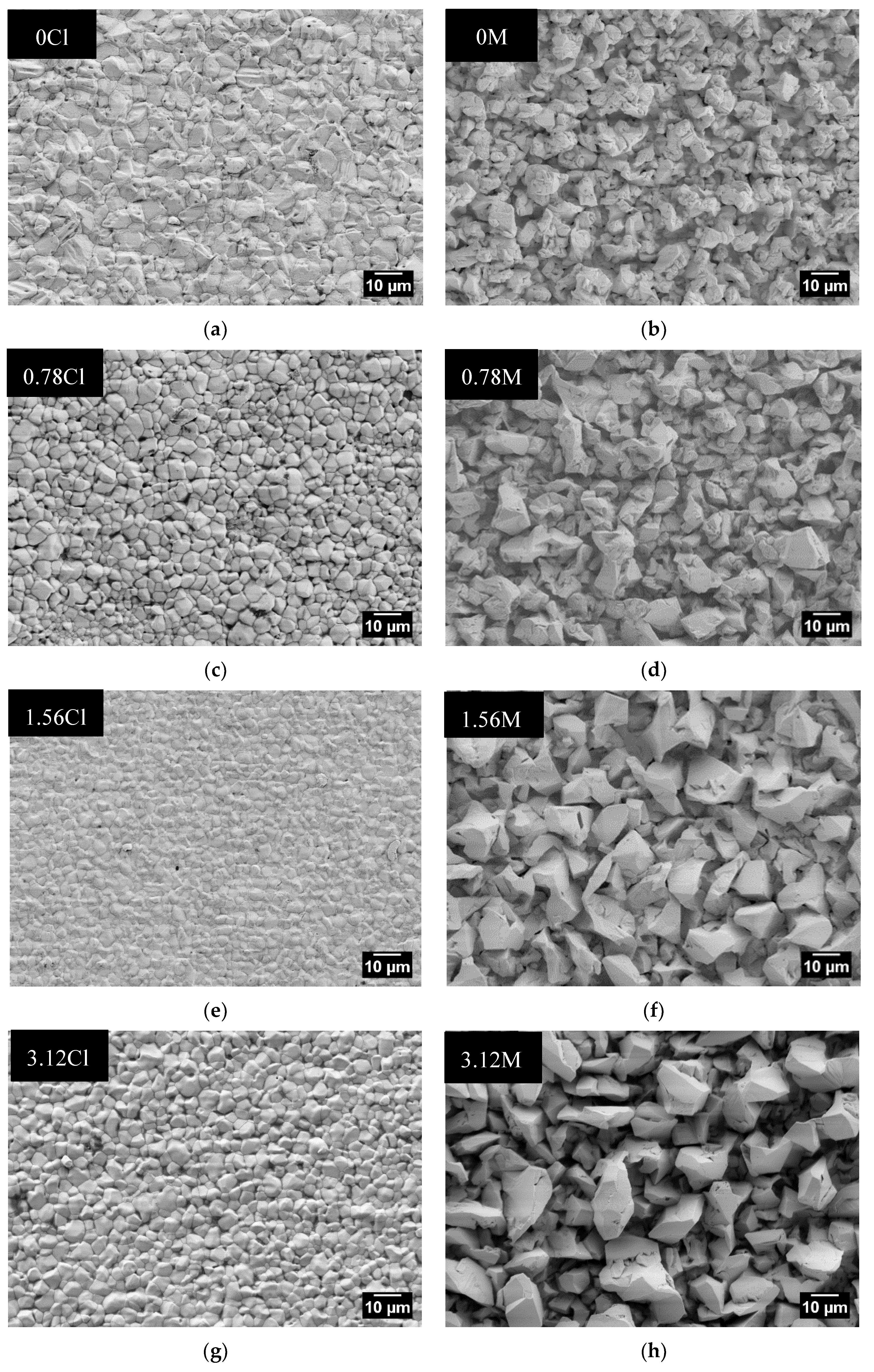 Coatings 08 00079 g010
