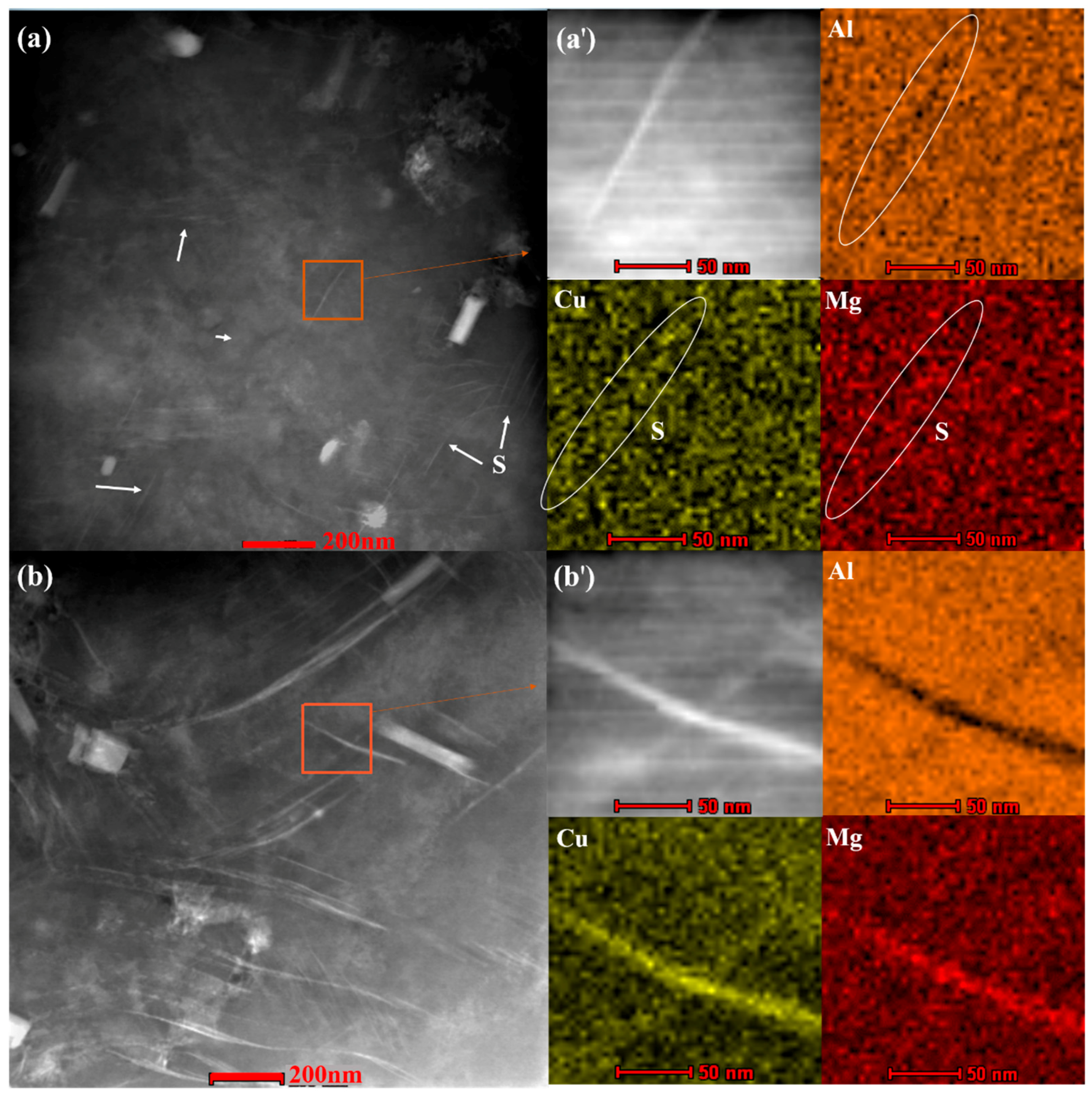 Coatings 08 00092 g002