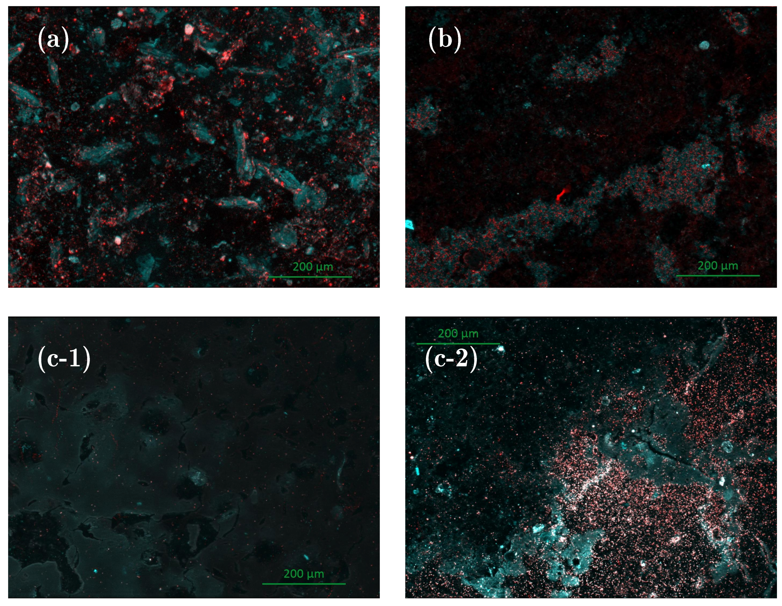 Coatings 08 00093 g005