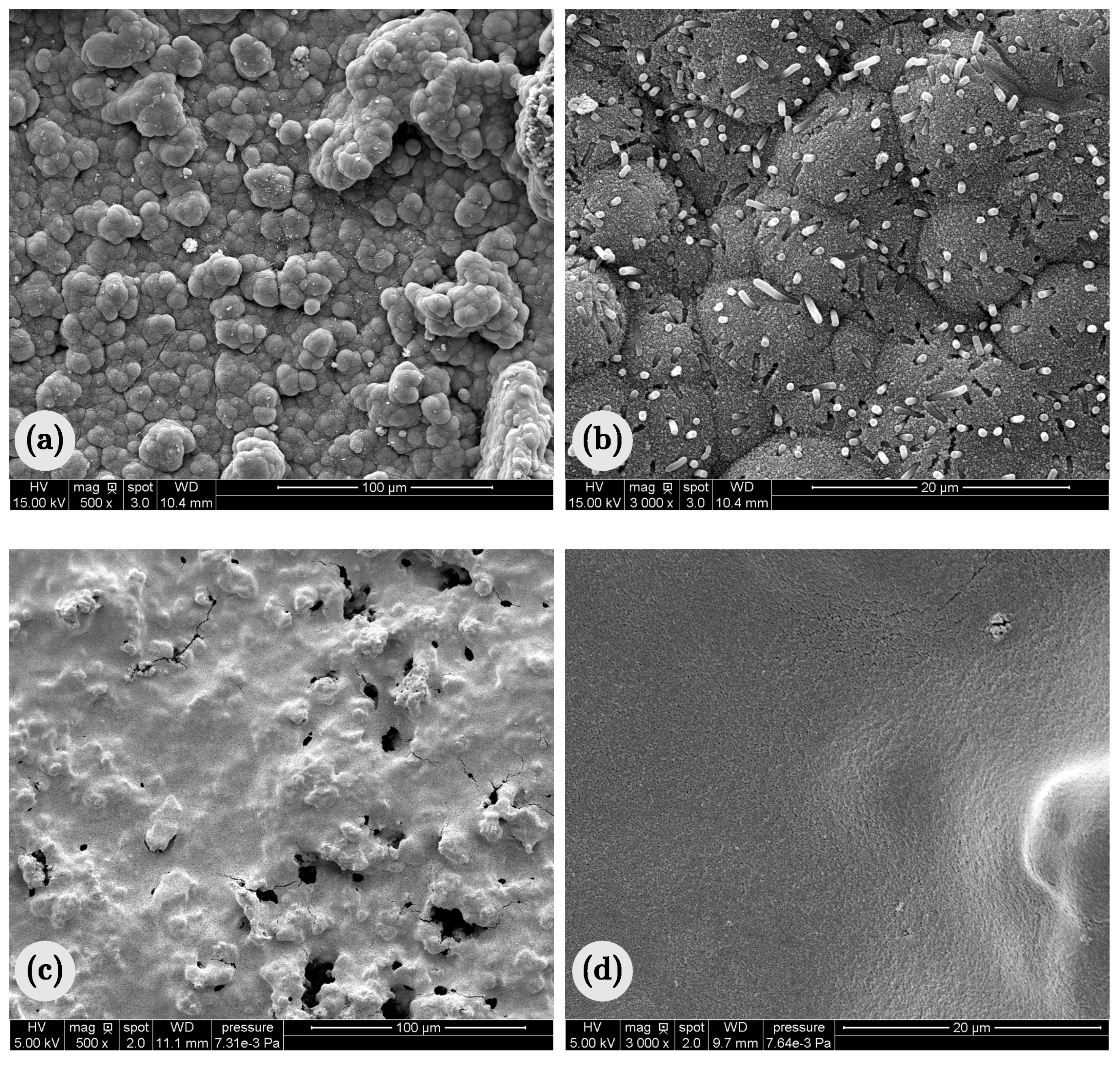 Coatings 08 00093 g006