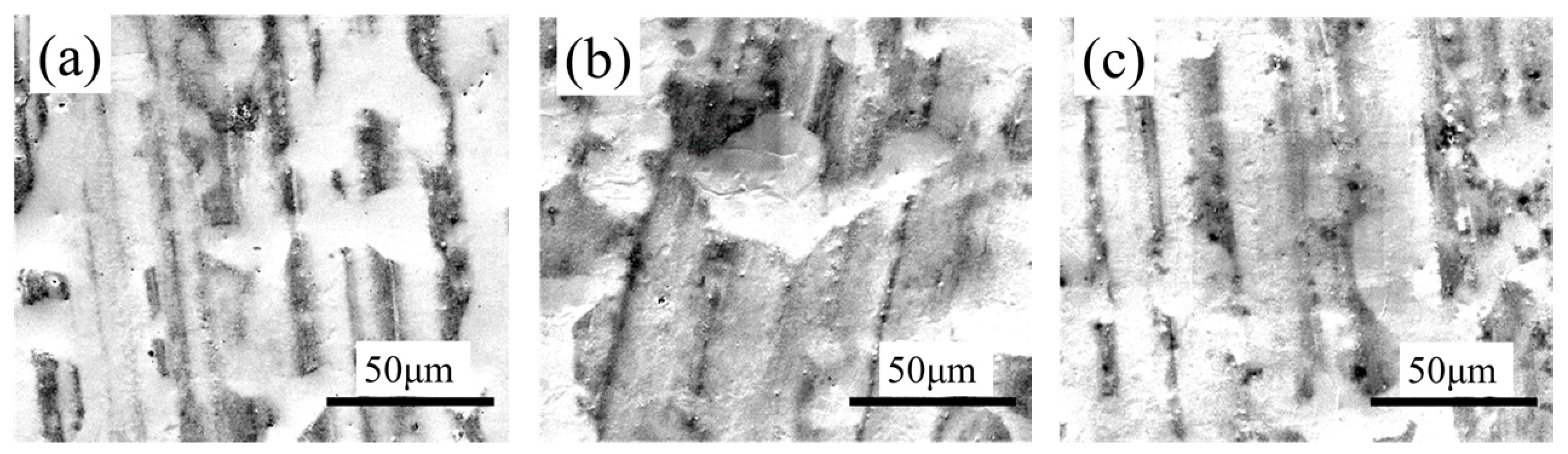 Coatings 08 00094 g001