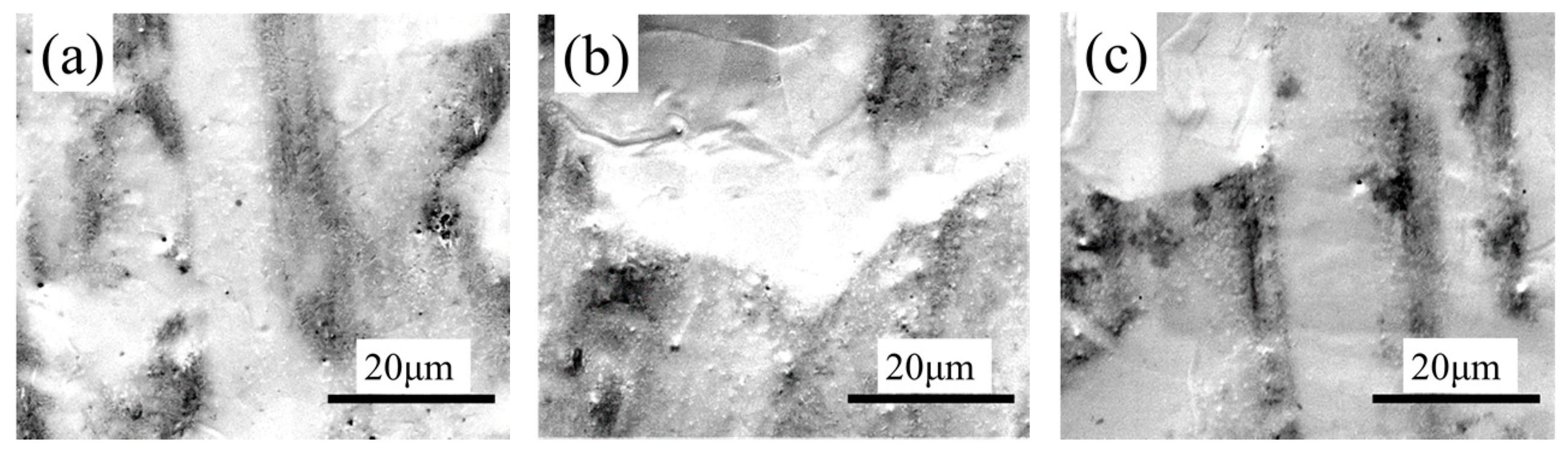 Coatings 08 00094 g002