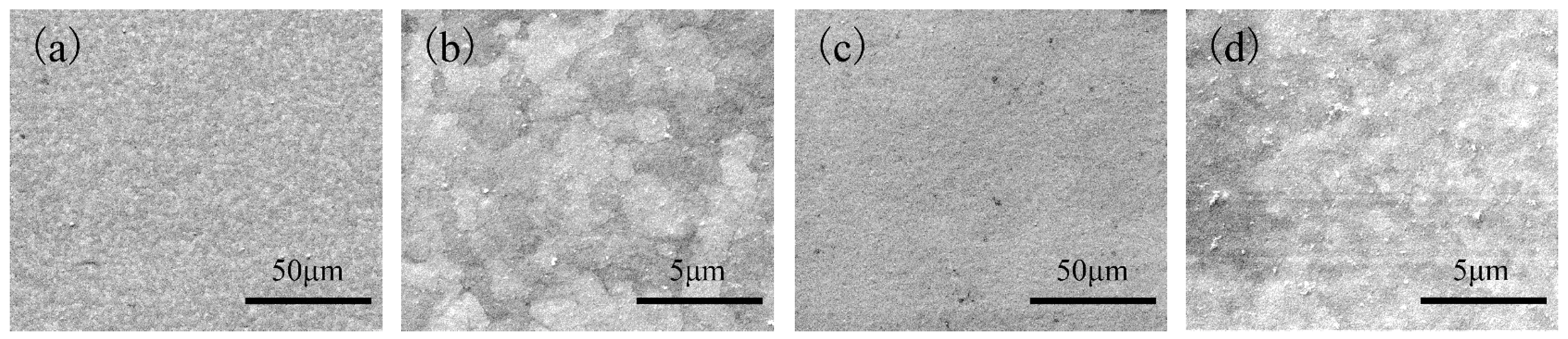 Coatings 08 00094 g005