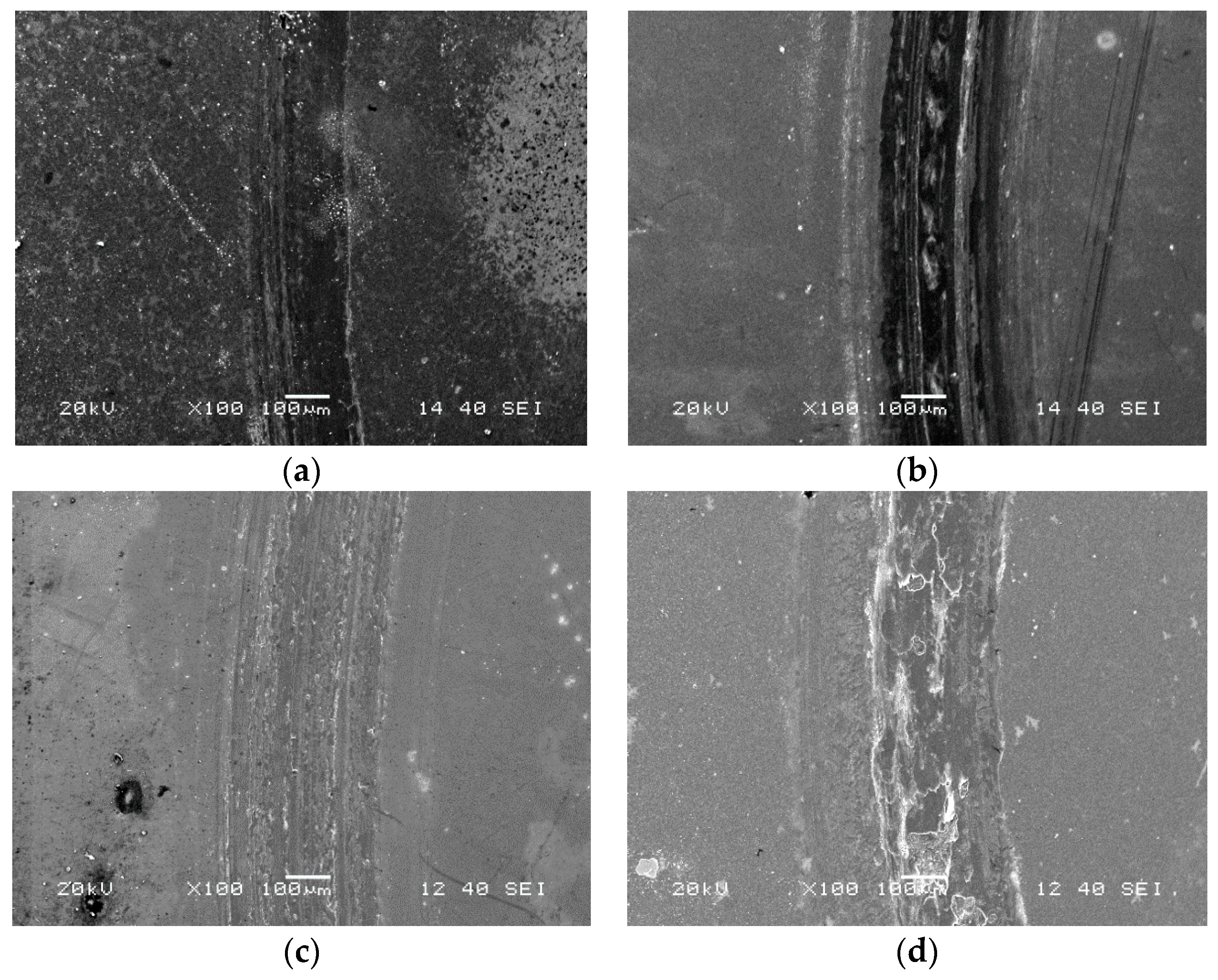 Coatings 08 00095 g011