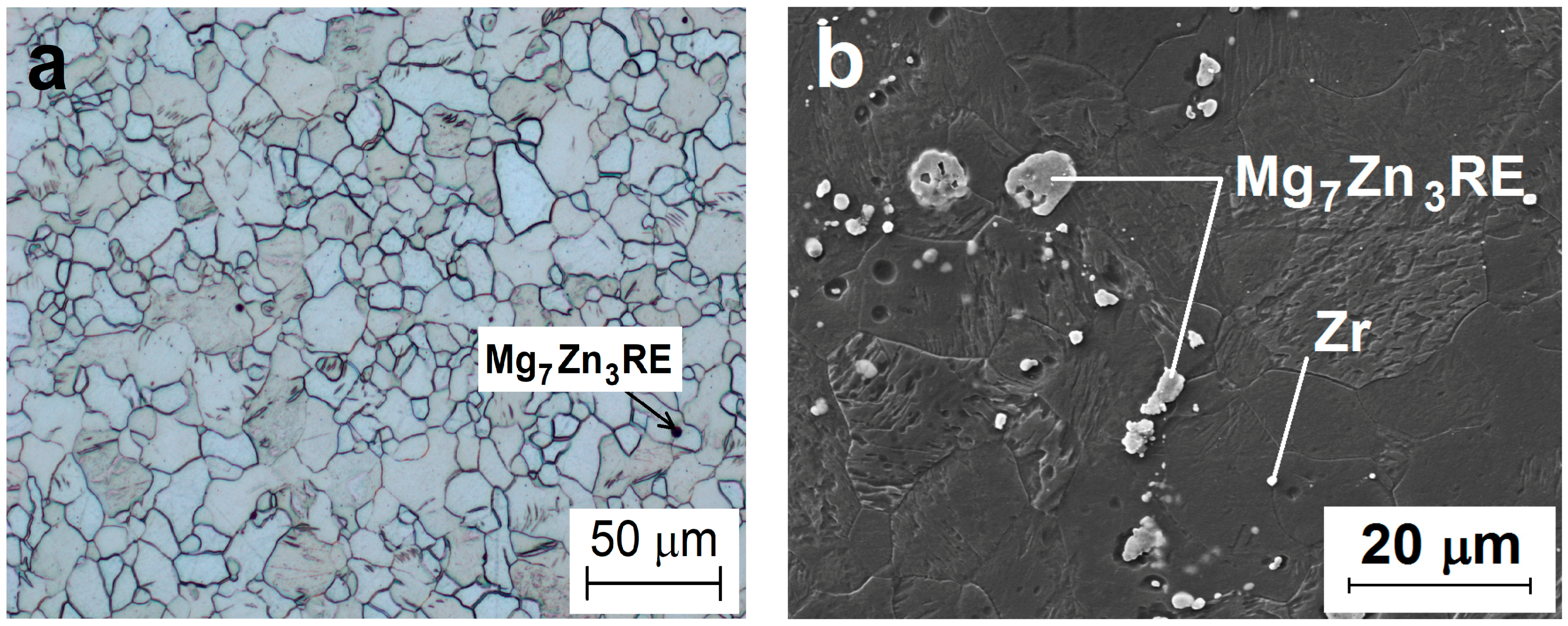 Coatings 08 00096 g001
