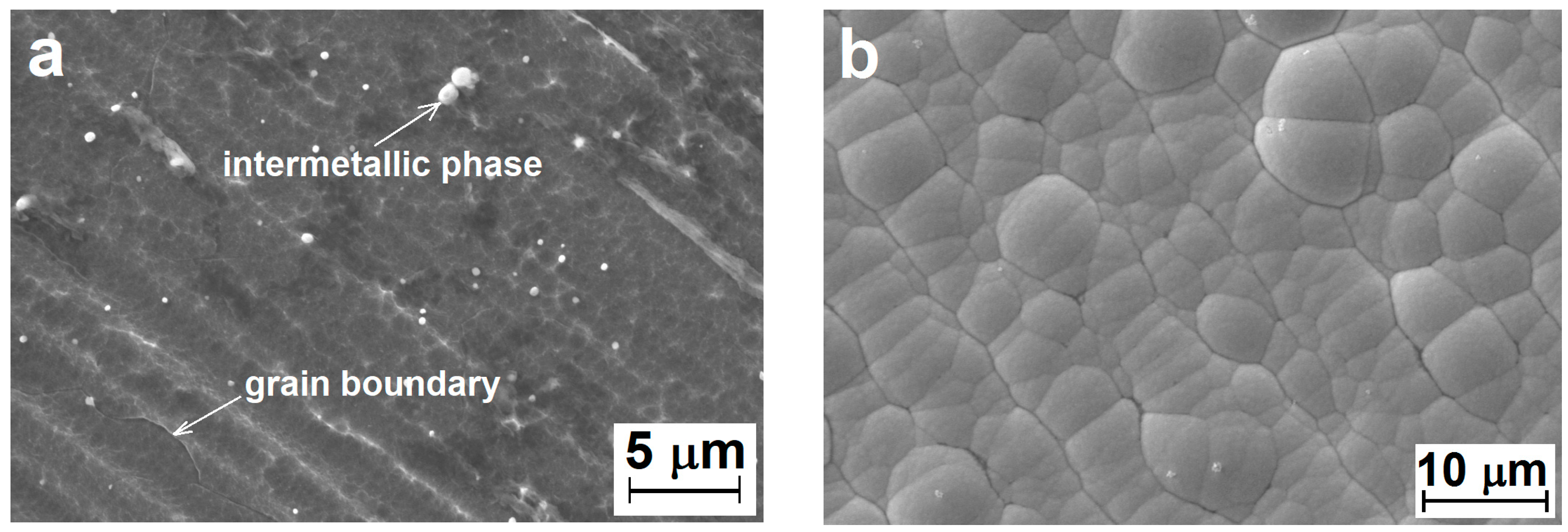 Coatings 08 00096 g002