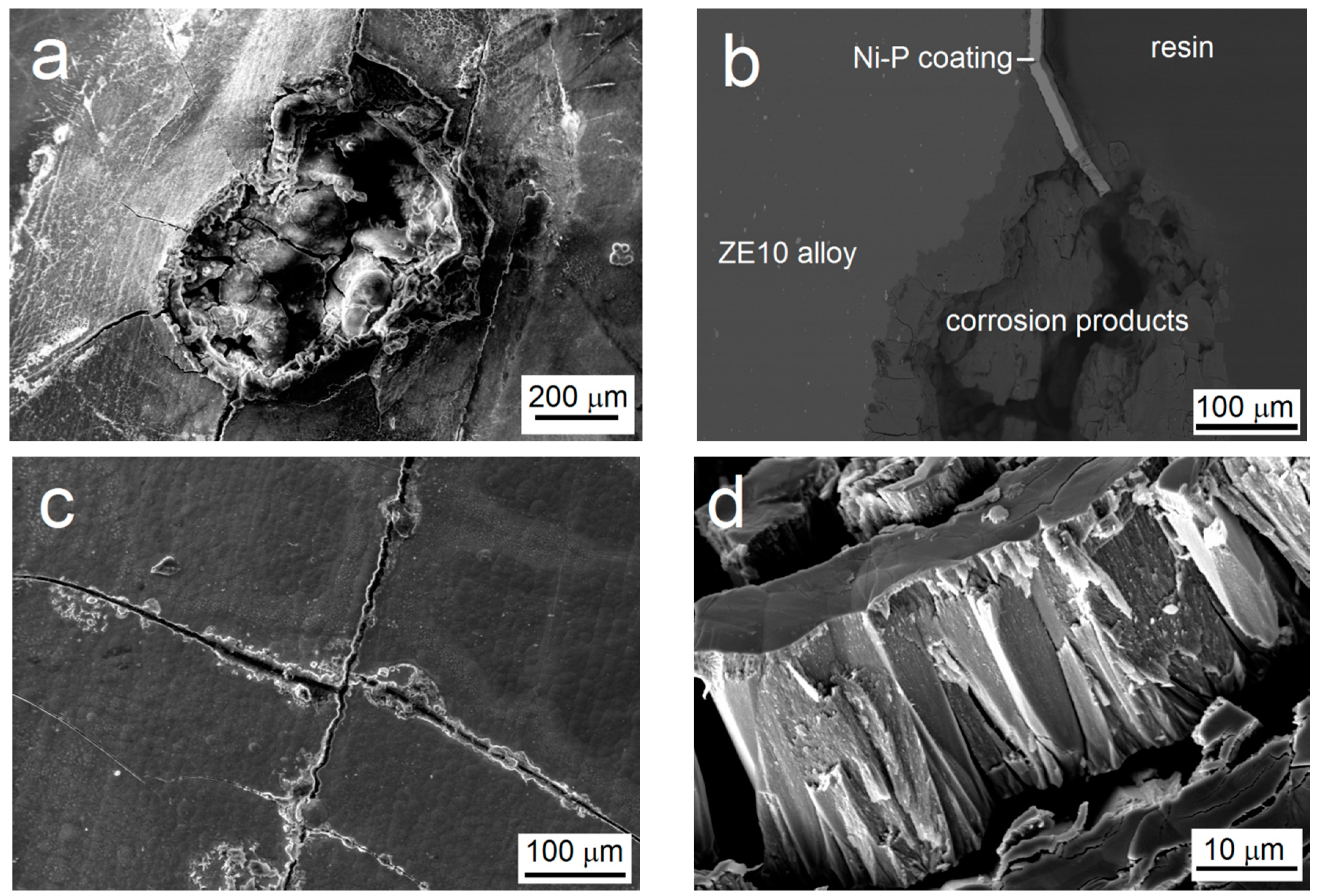 Coatings 08 00096 g007