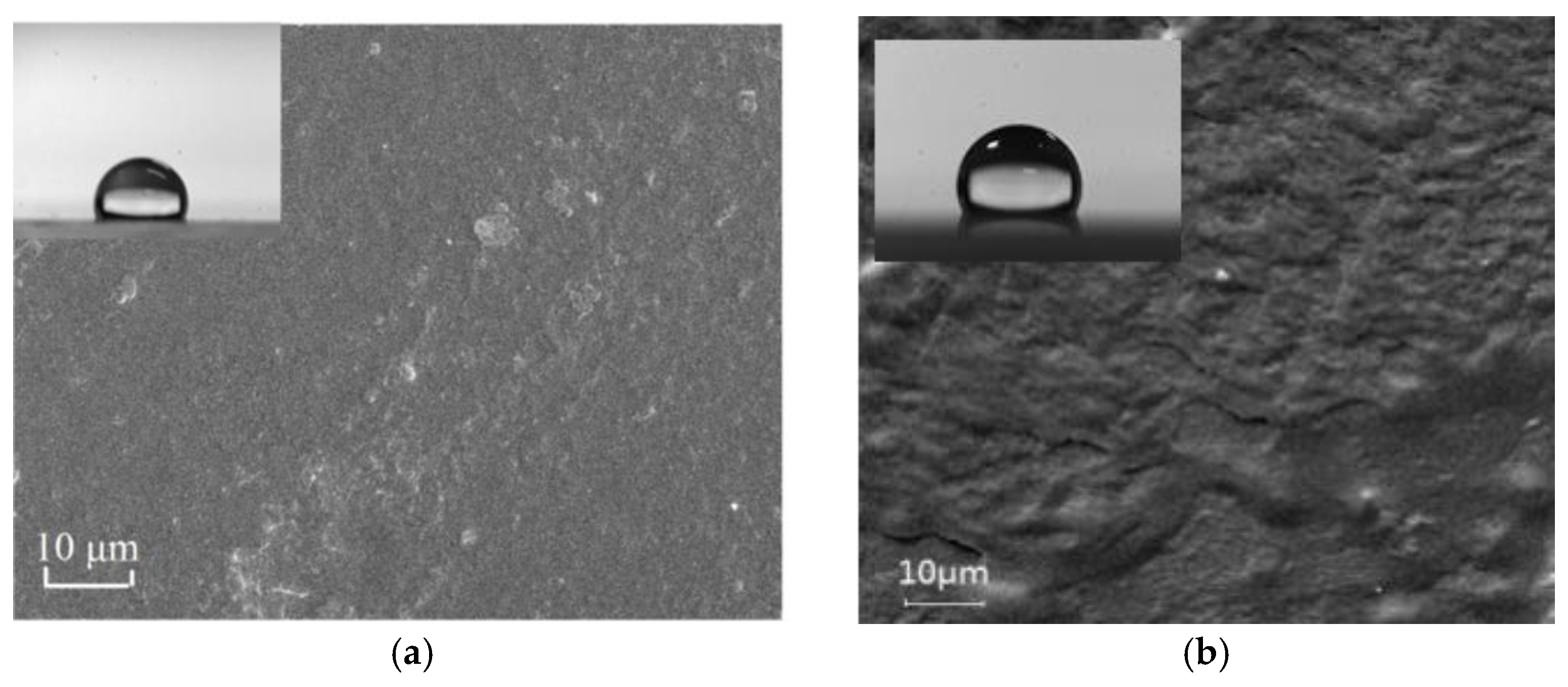 Coatings 08 00100 g005