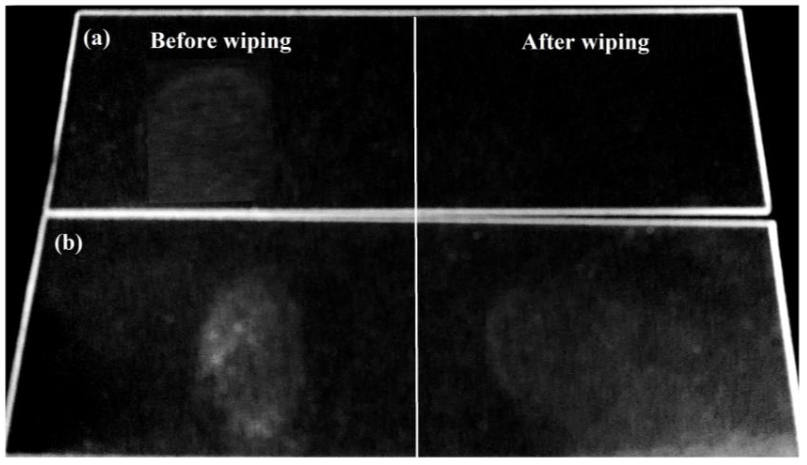 Coatings 08 00100 g013
