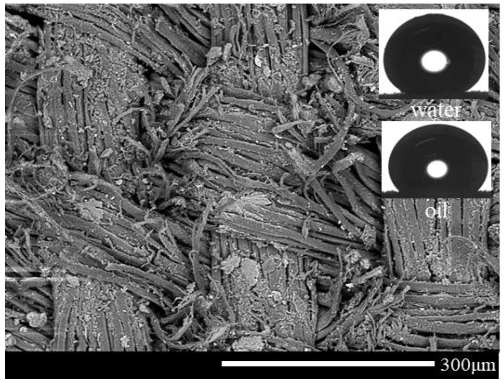 Coatings 08 00101 g005