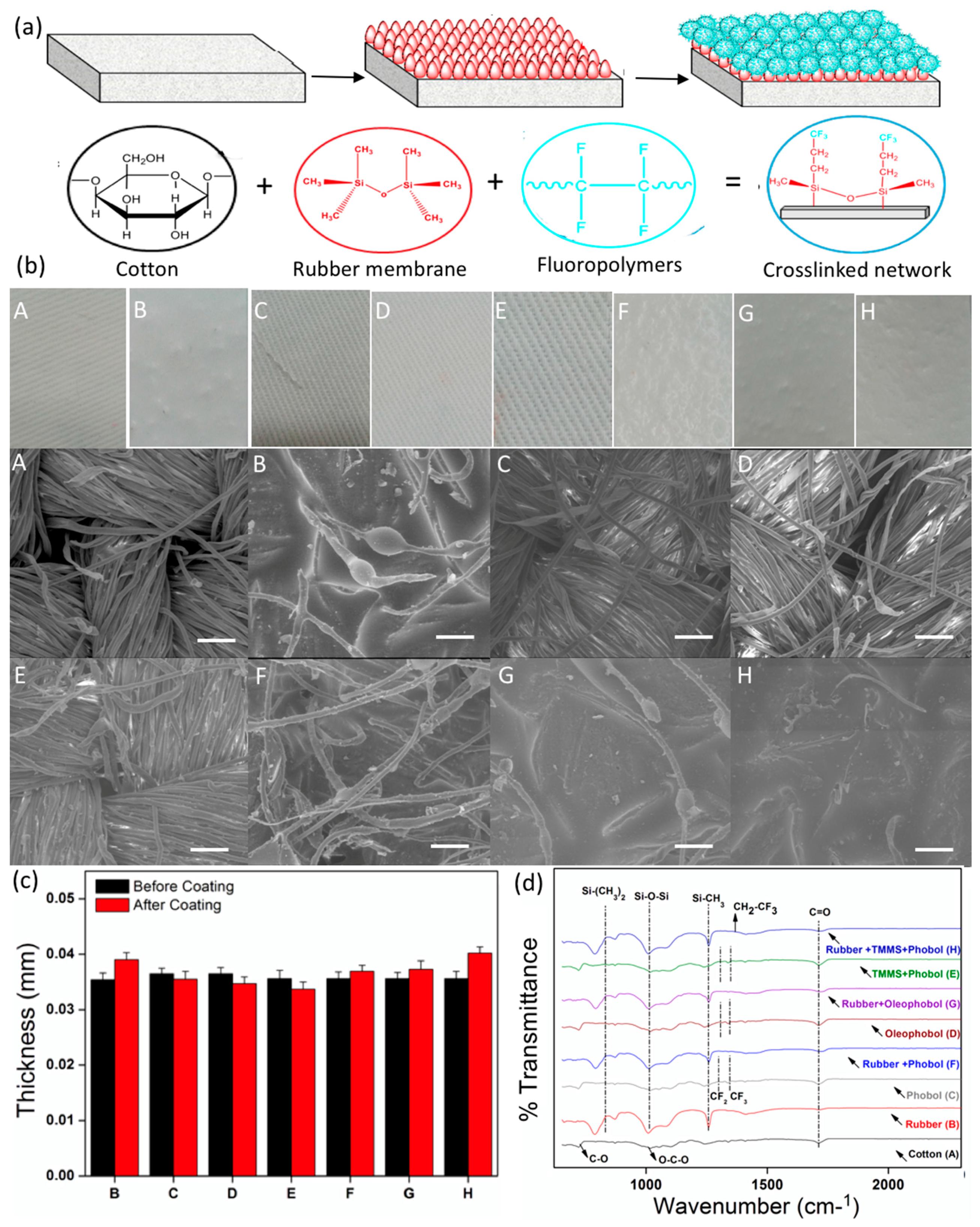 Coatings 08 00104 g002