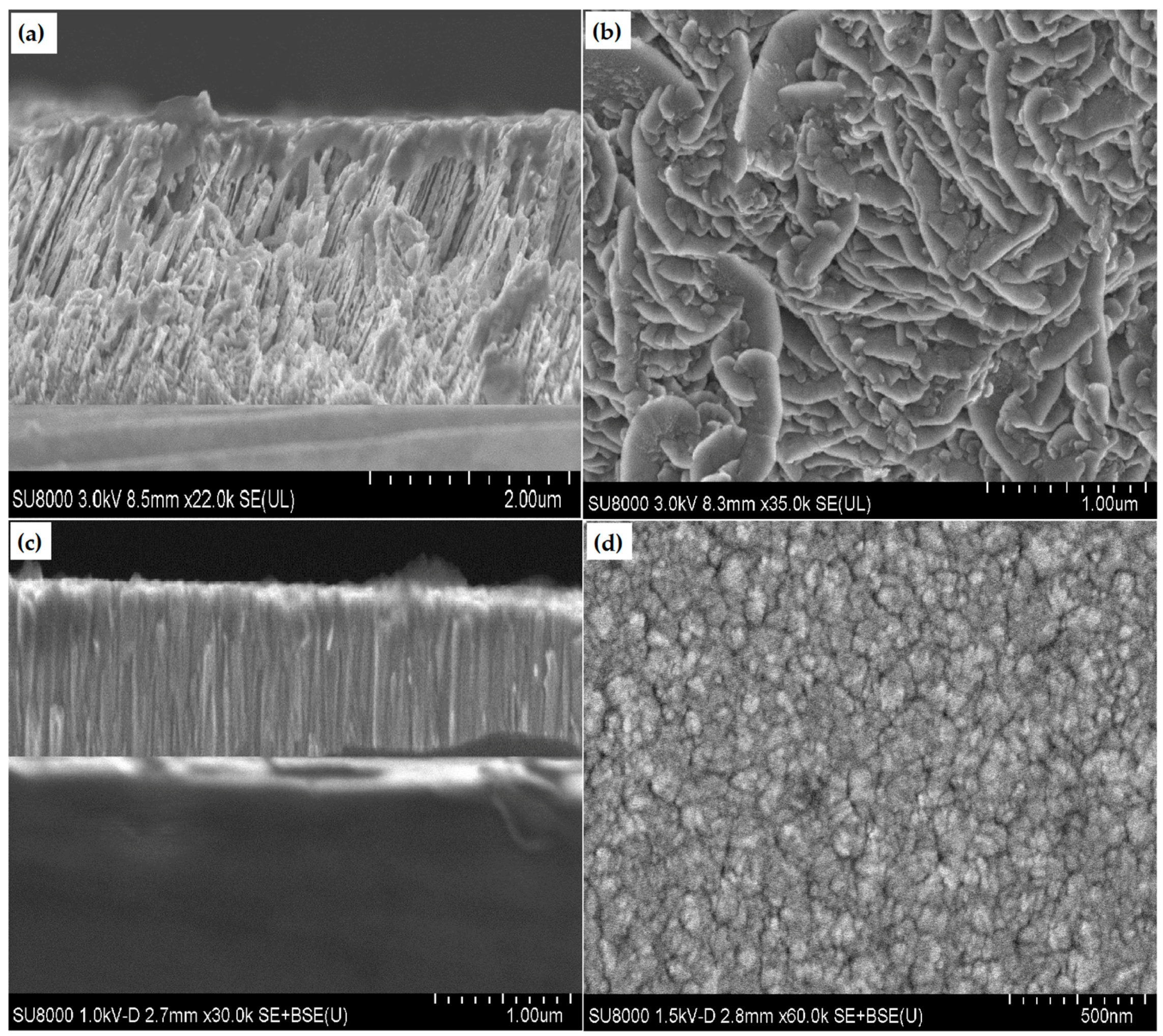 Coatings Free Full Text The Effect Of Deposition