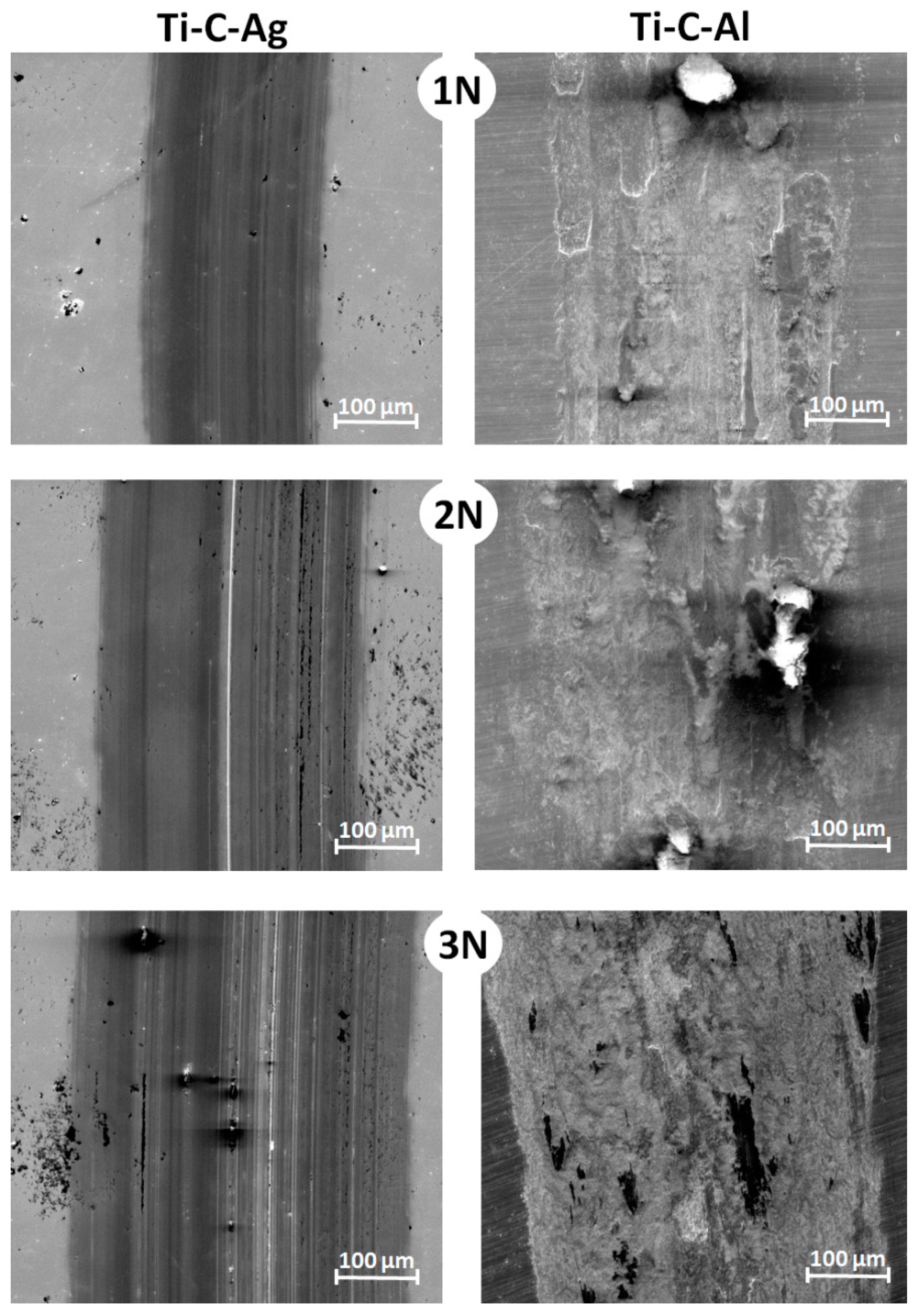 Coatings 08 00114 g003