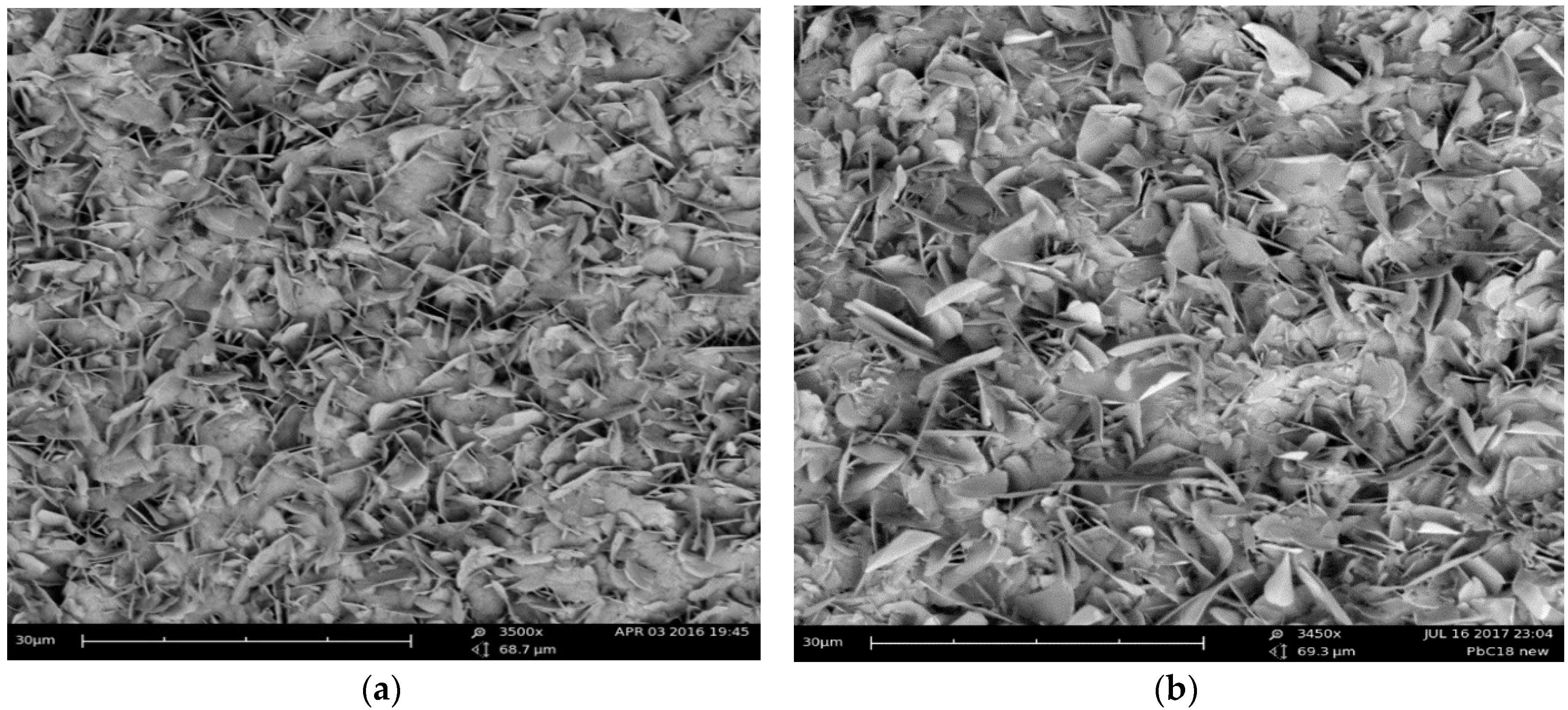 Coatings 08 00118 g002