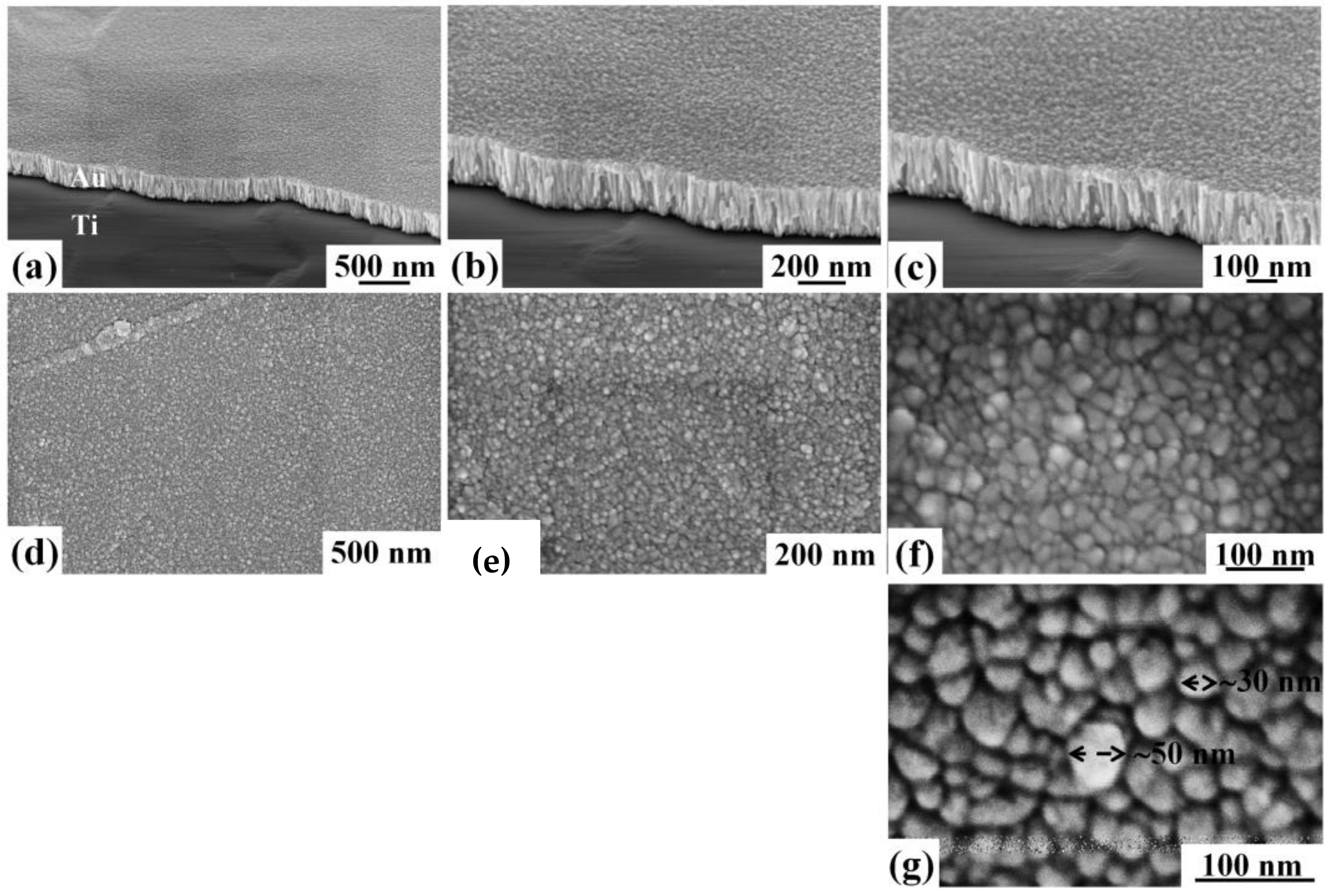 Coatings 08 00121 g002