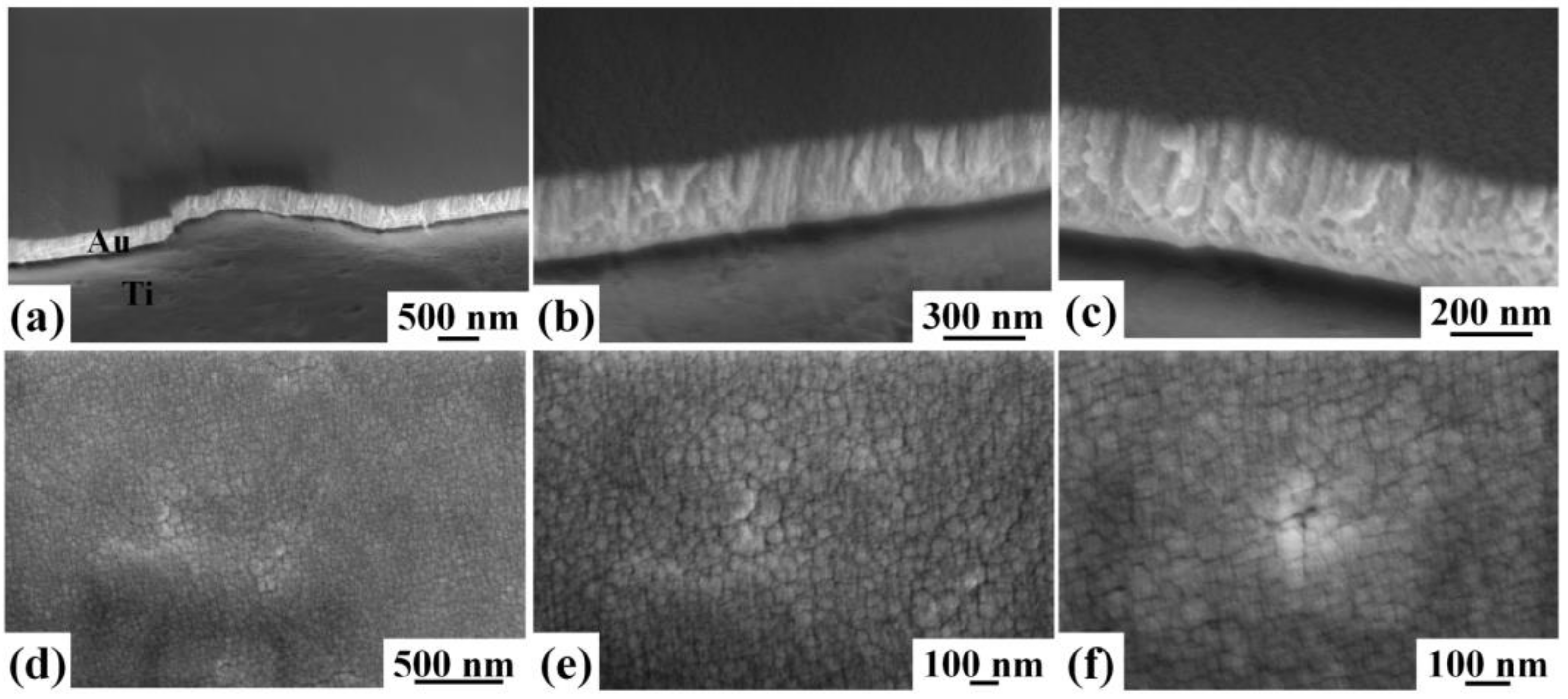 Coatings 08 00121 g003