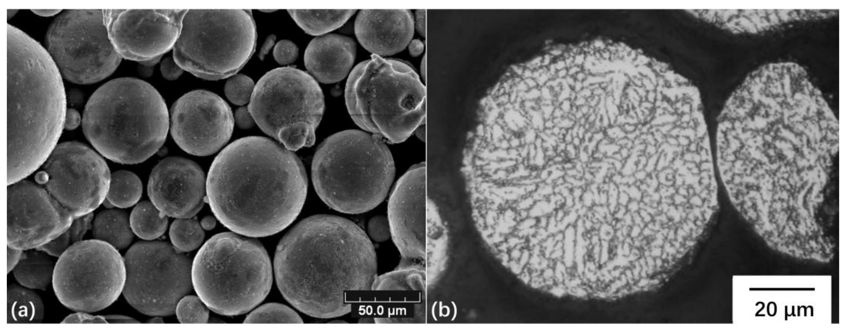 Coatings 08 00122 g001a 550