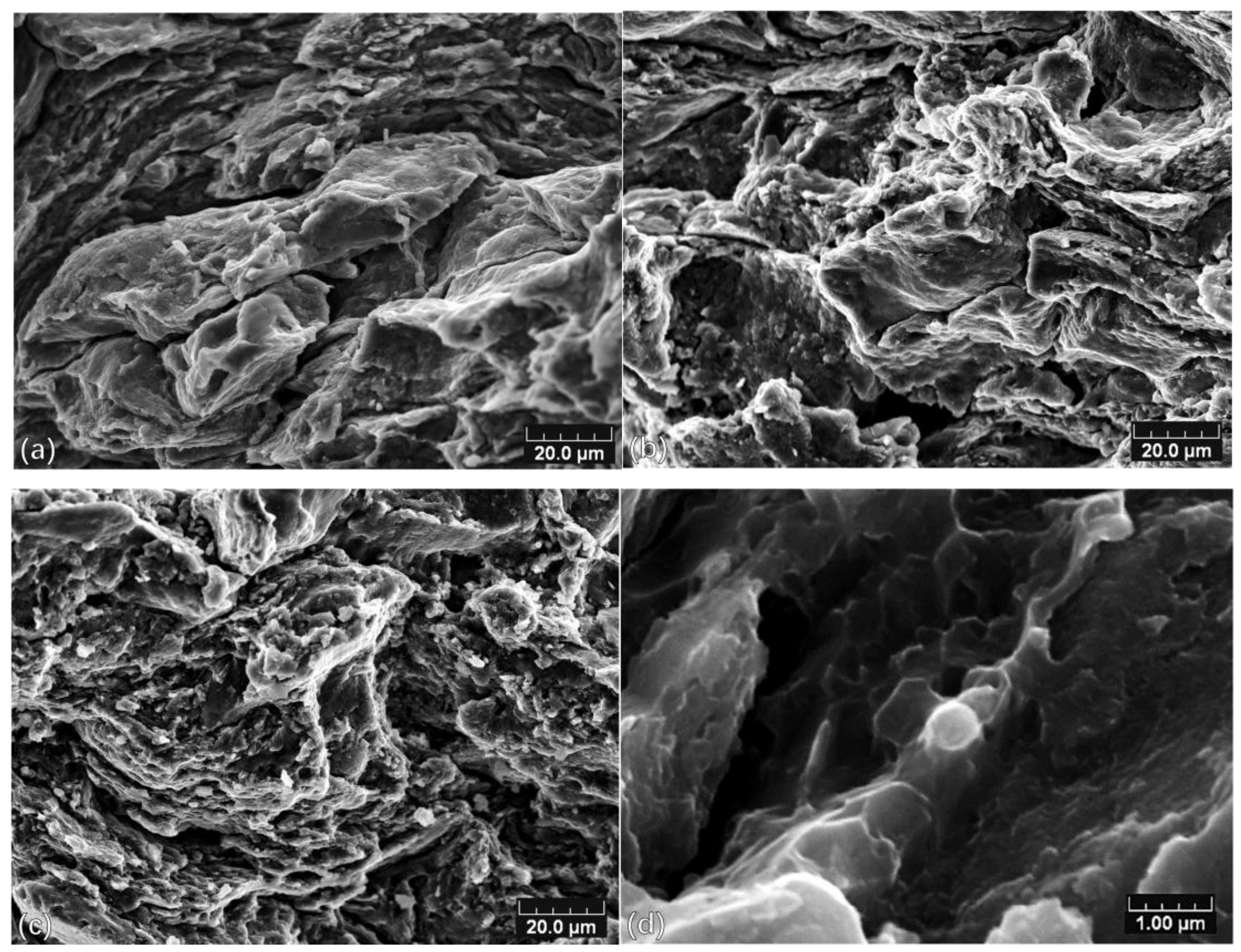 Coatings 08 00122 g006 550