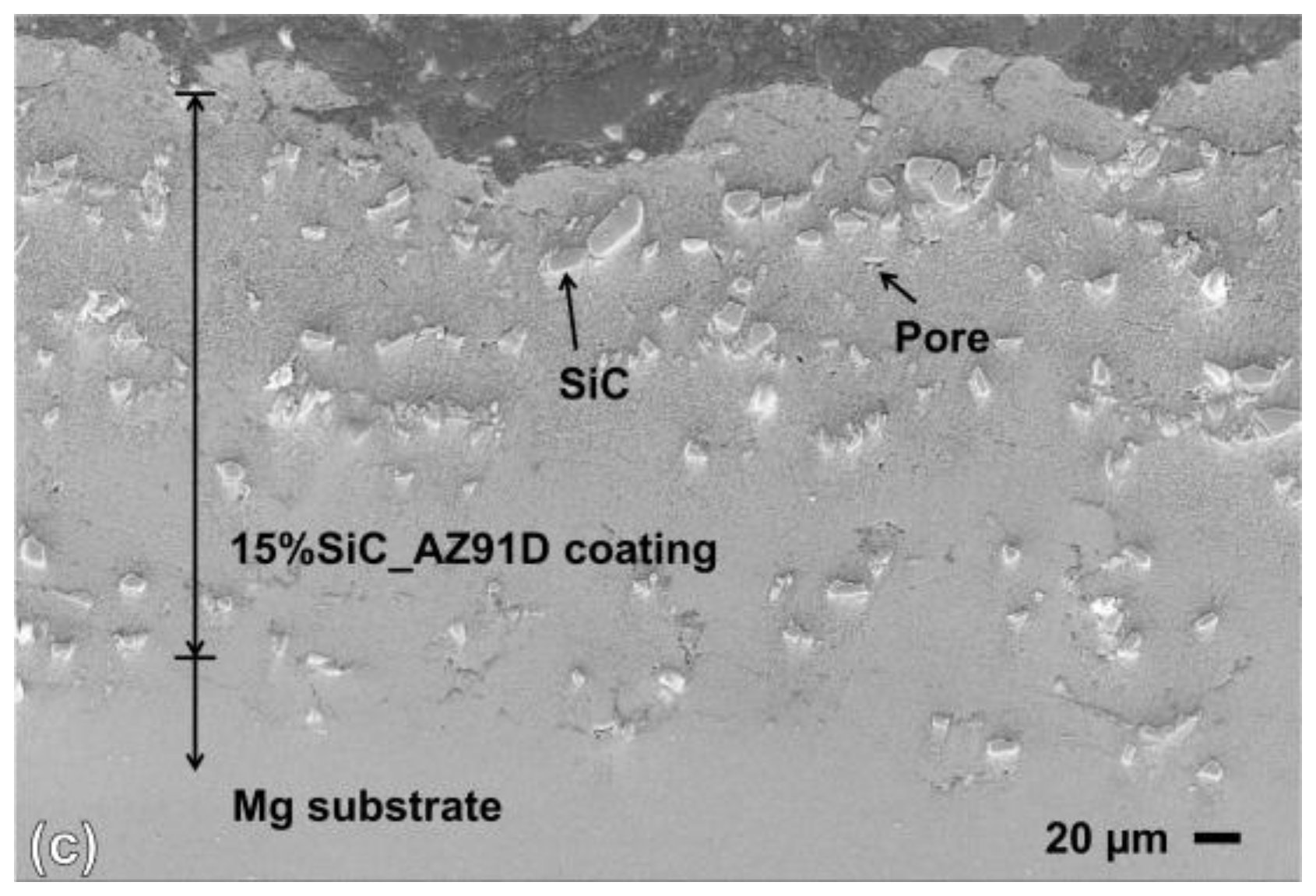 Coatings 08 00122 g008b 550