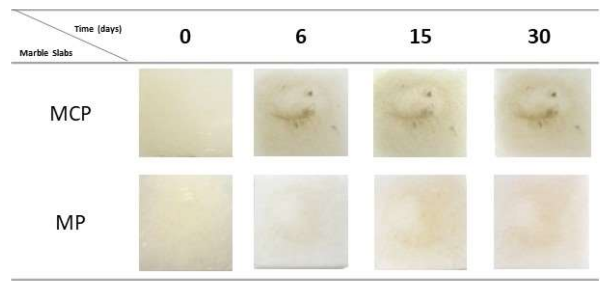 Coatings 08 00123 g005