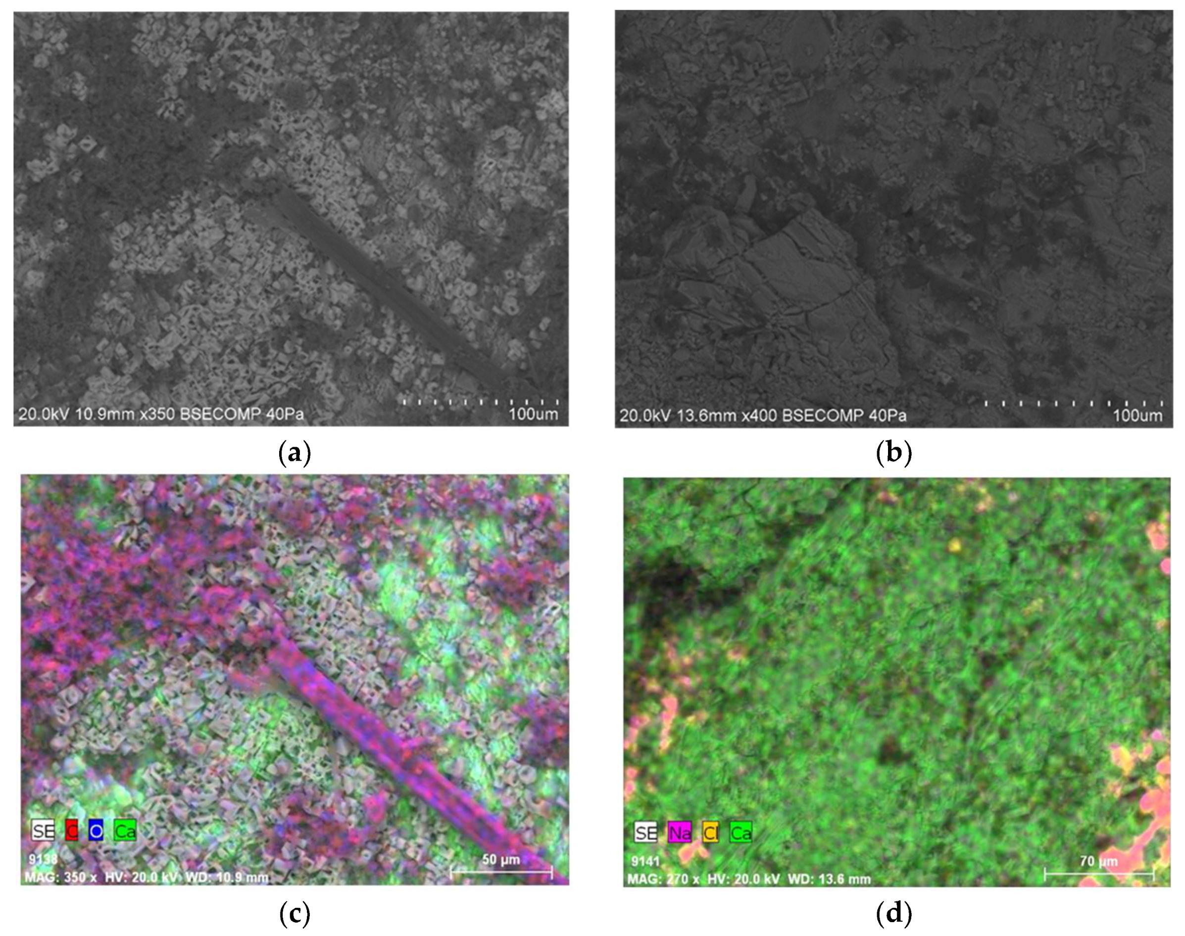 Coatings 08 00123 g006