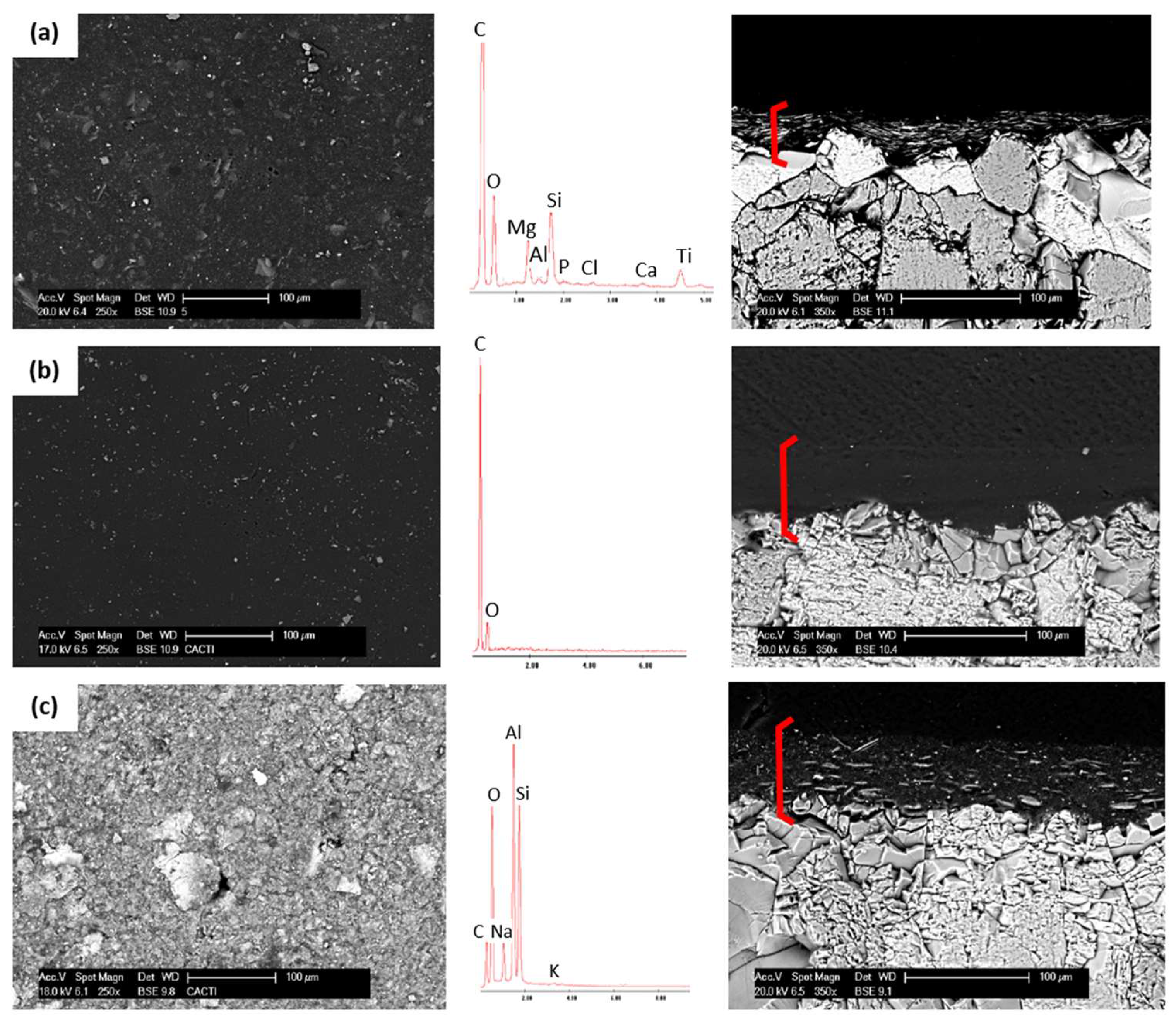 Coatings 08 00124 g003