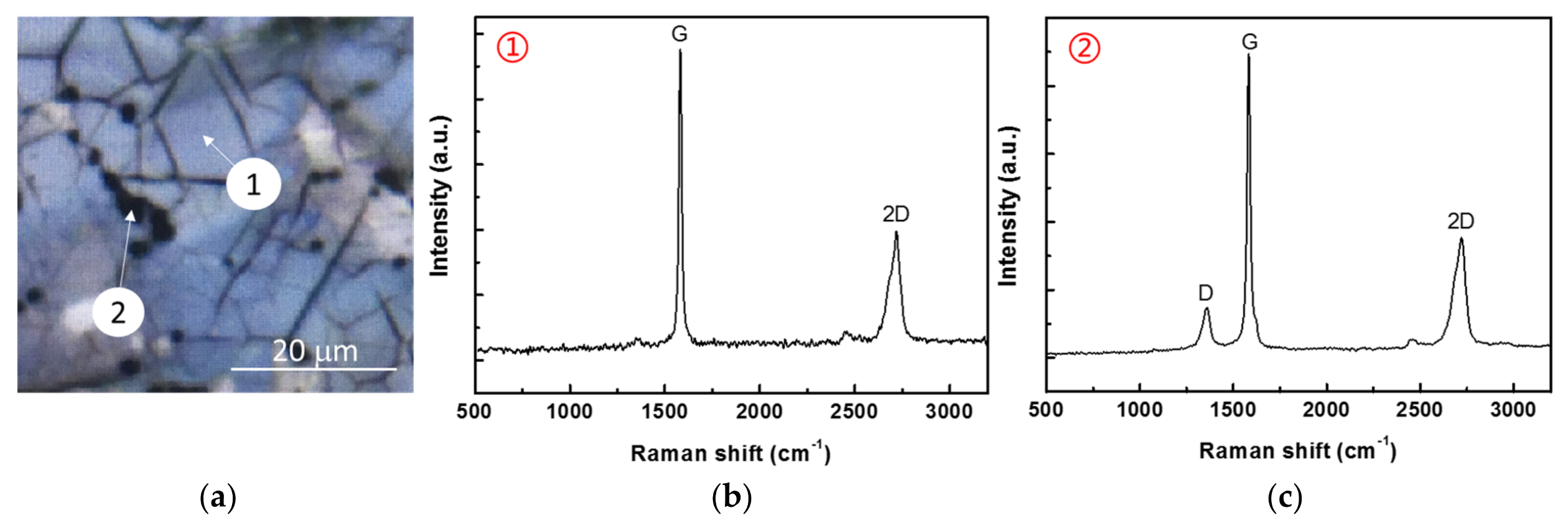 Coatings 08 00130 g002