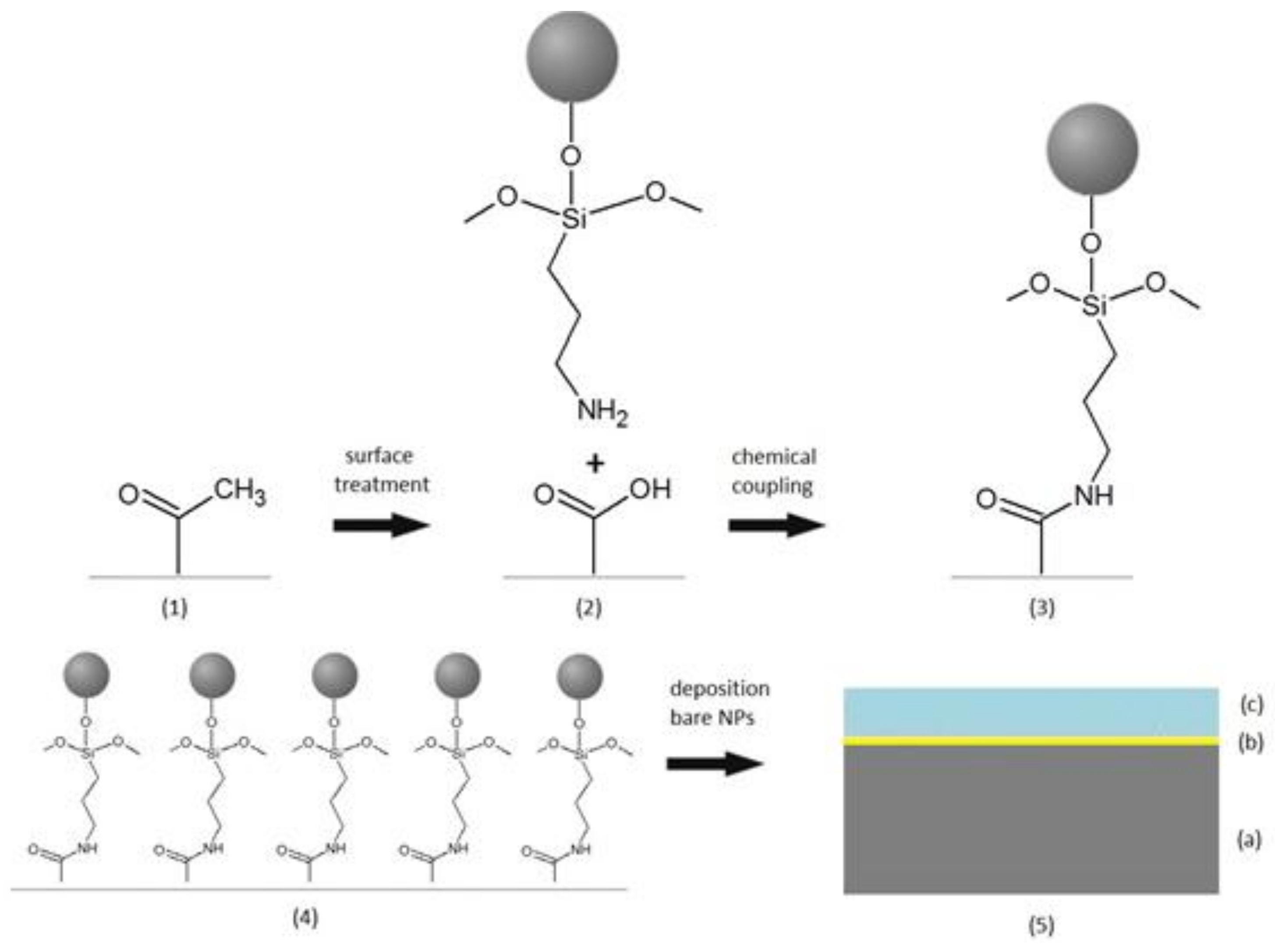 Coatings 08 00131 g001