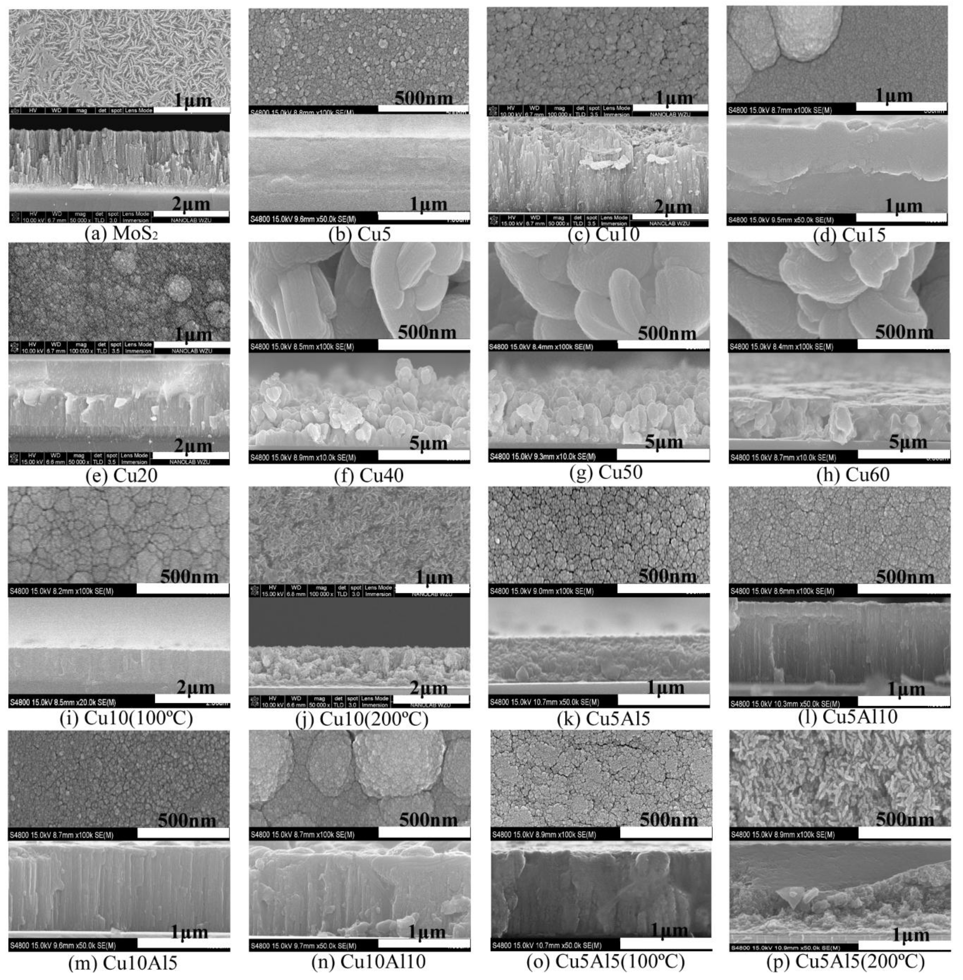 Coatings 08 00134 g001 550