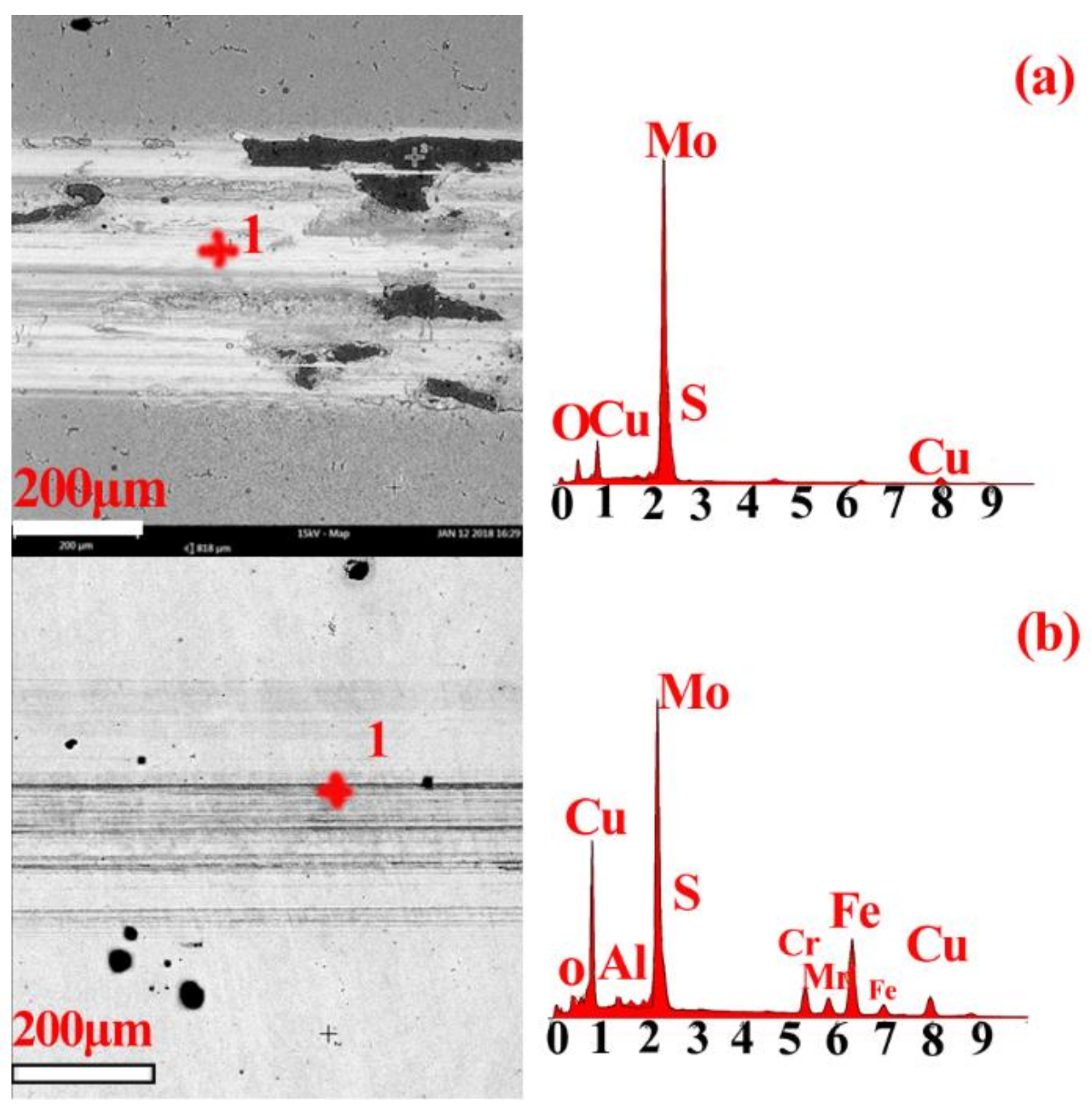 Coatings 08 00134 g010 550