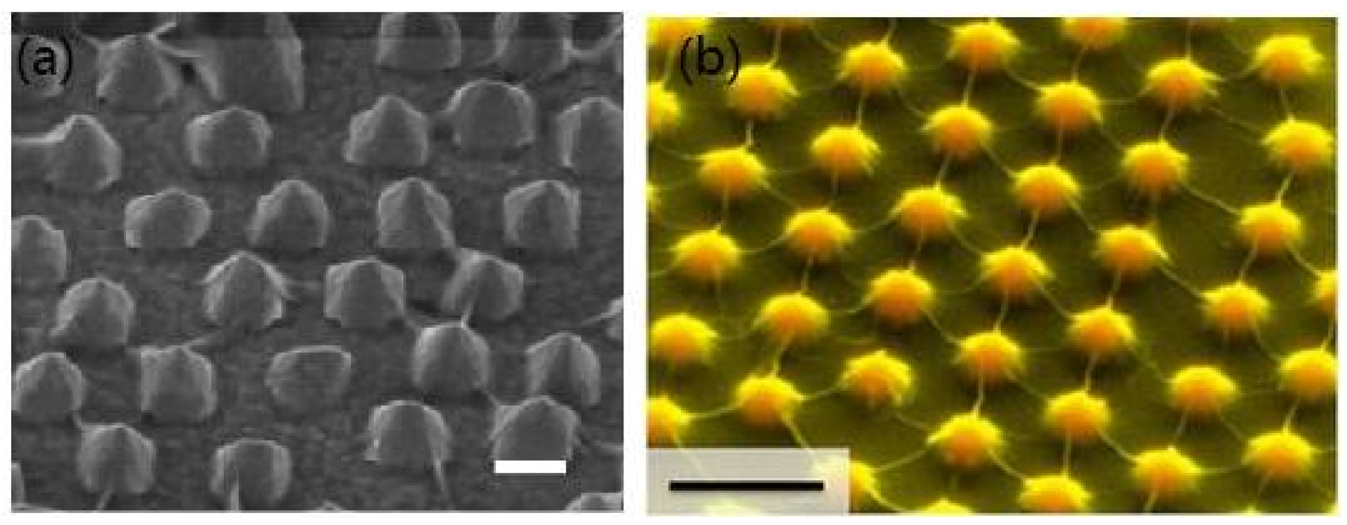 Coatings 08 00137 g003 Coatings 08 00137 g003