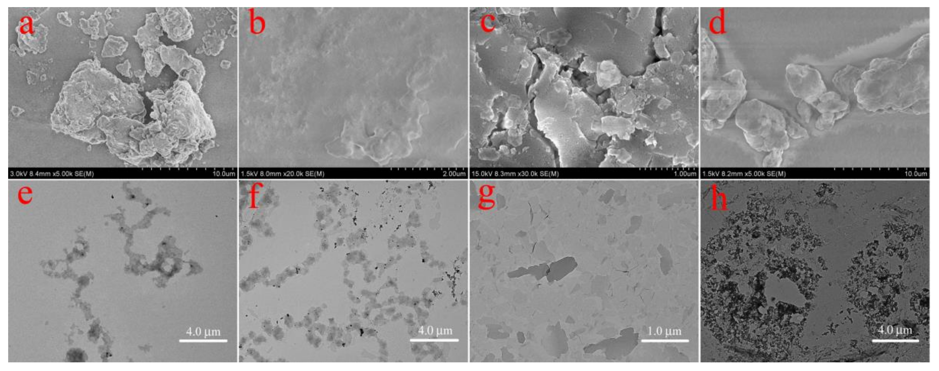 Coatings 08 00141 g004