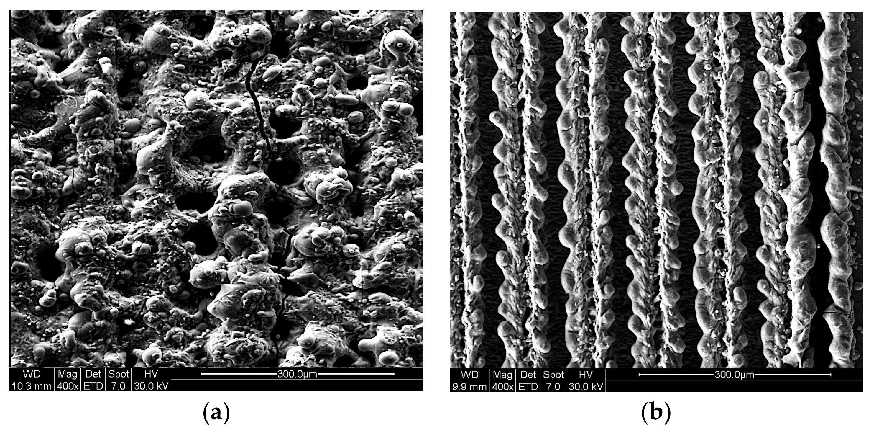 Coatings 08 00145 g002