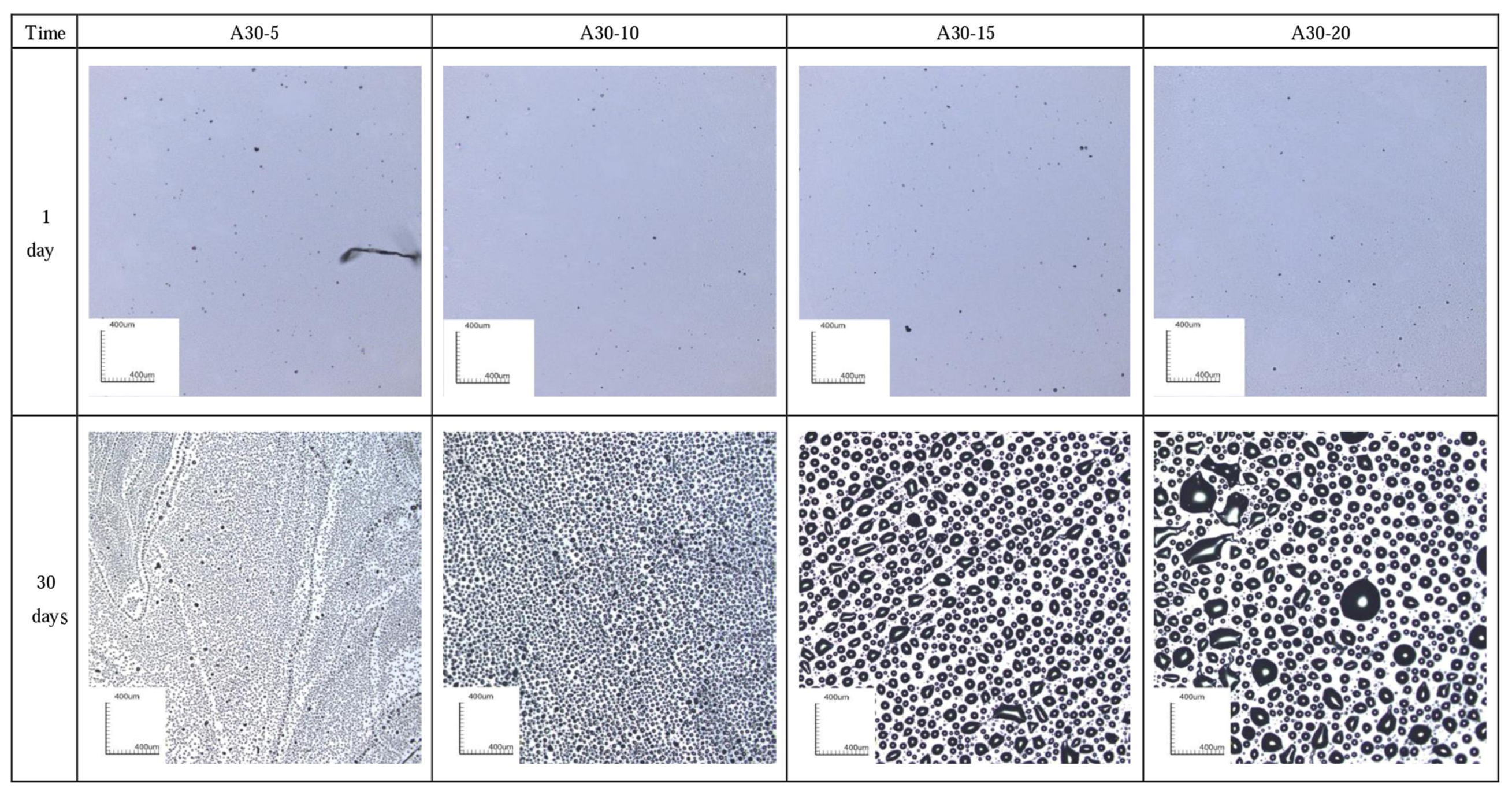Coatings 08 00153 g004