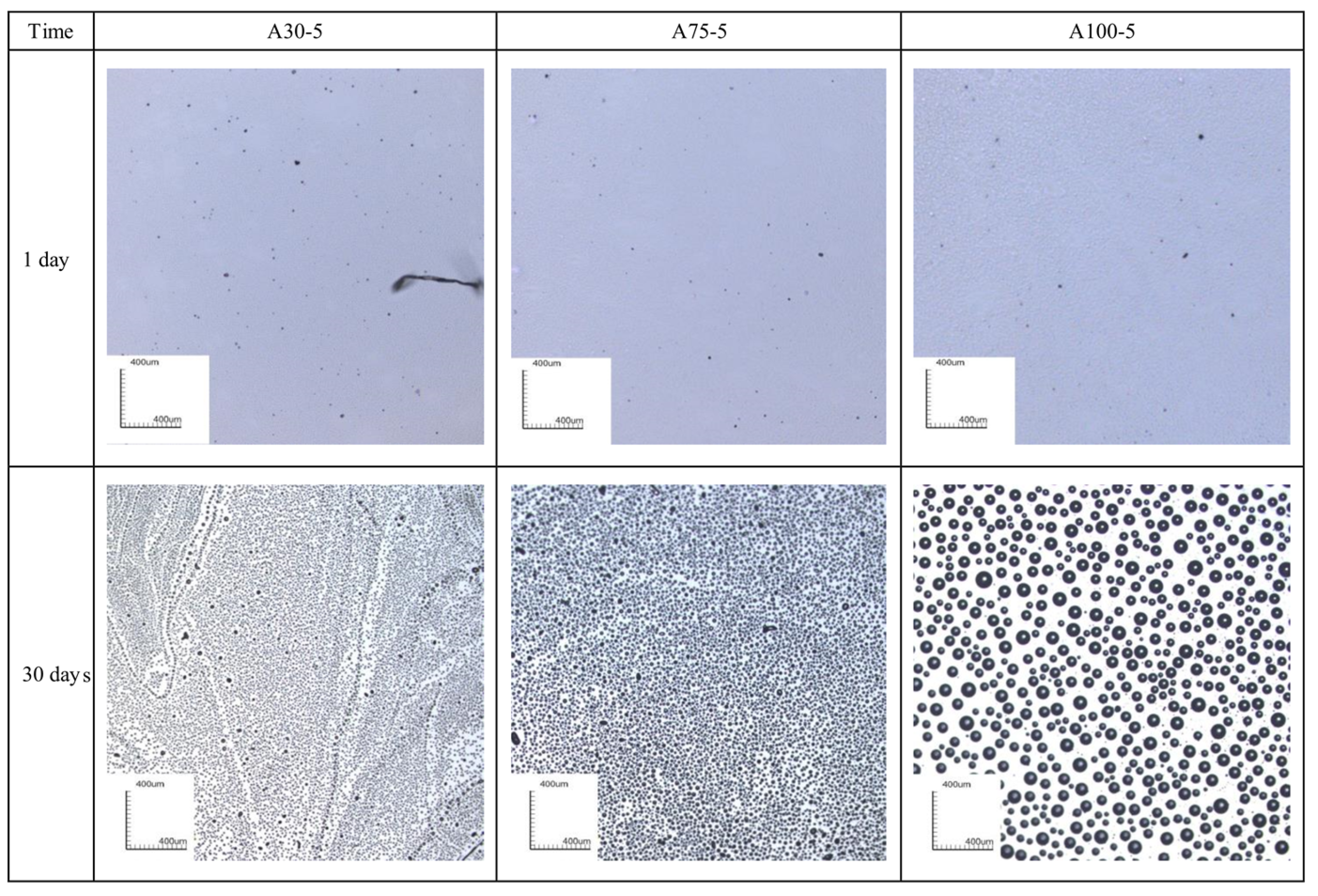 Coatings 08 00153 g005