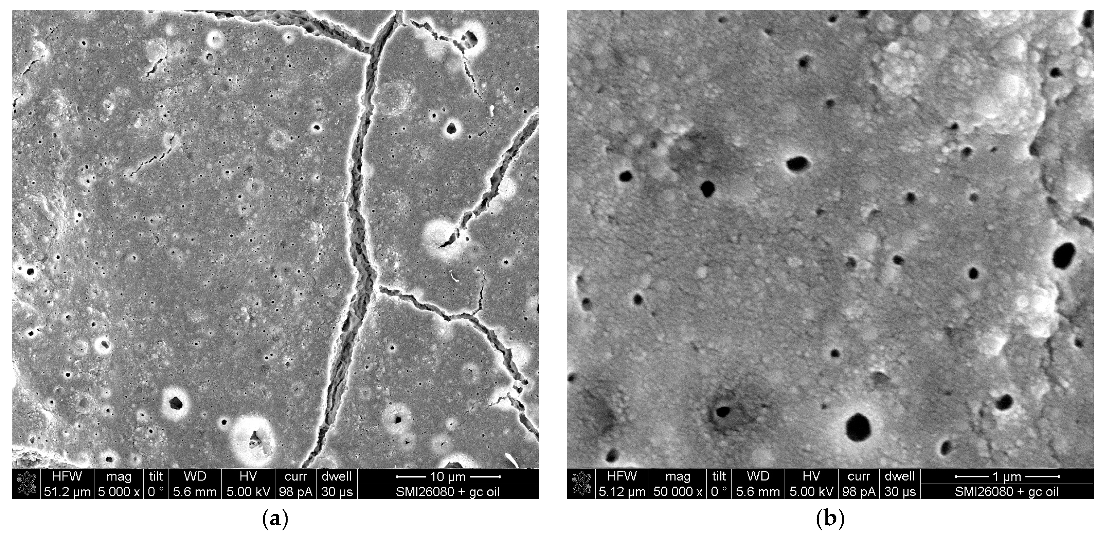 Coatings 08 00154 g002