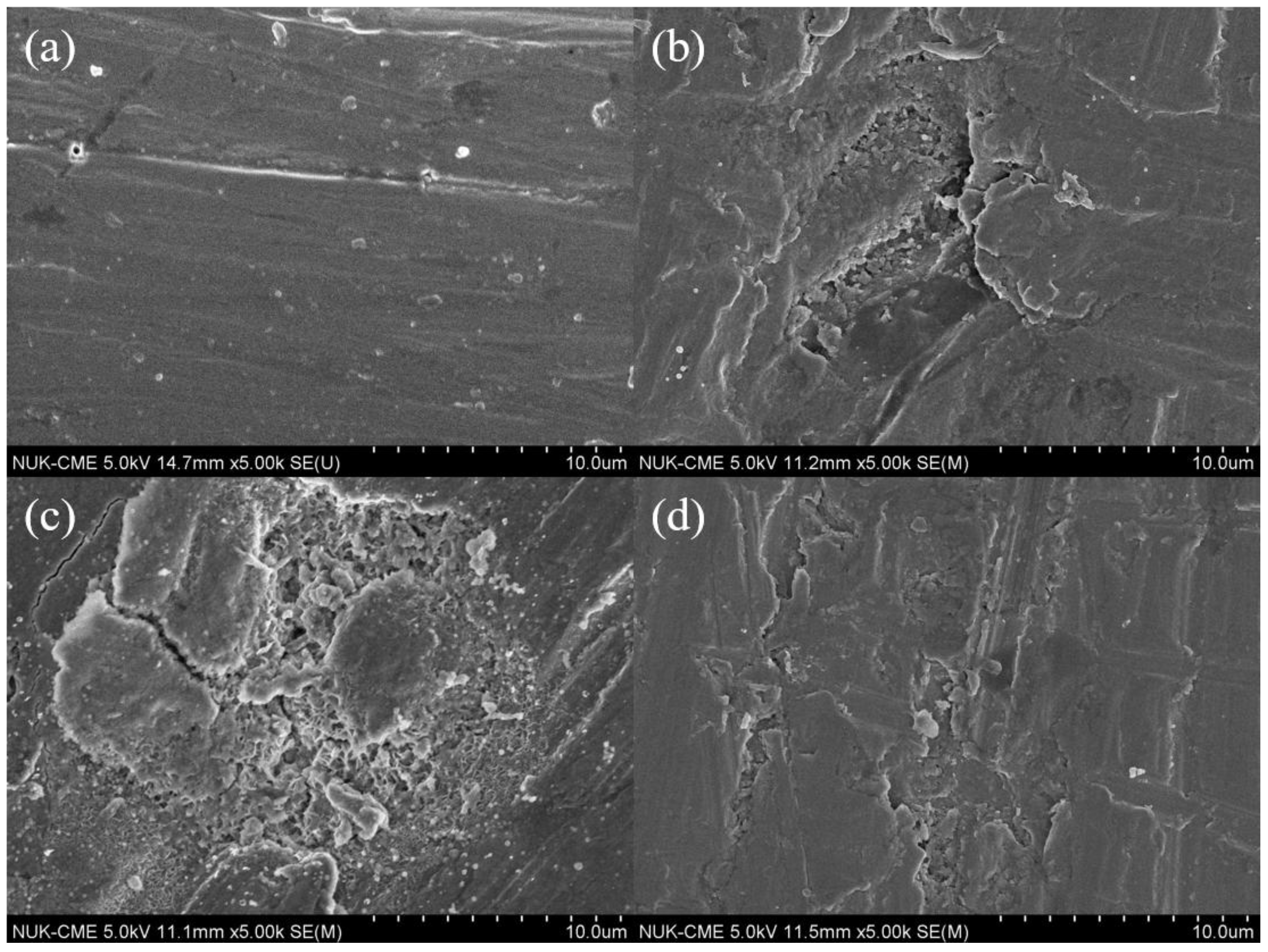 Coatings 08 00155 g005a
