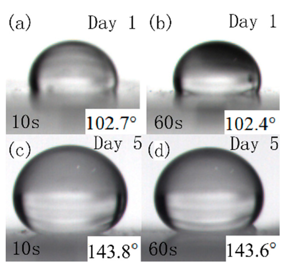 Coatings 08 00157 g016