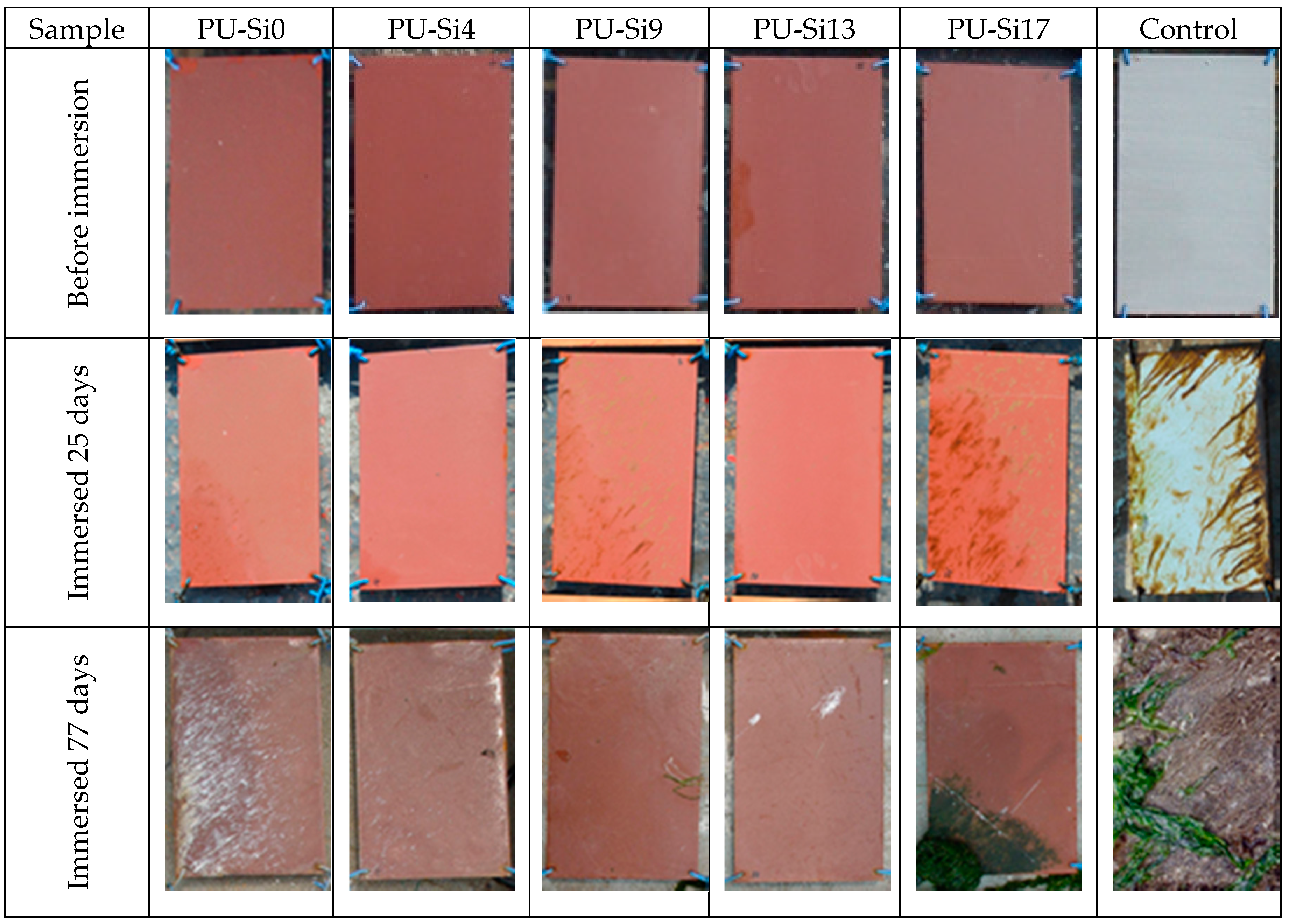 Coatings 08 00157 g018