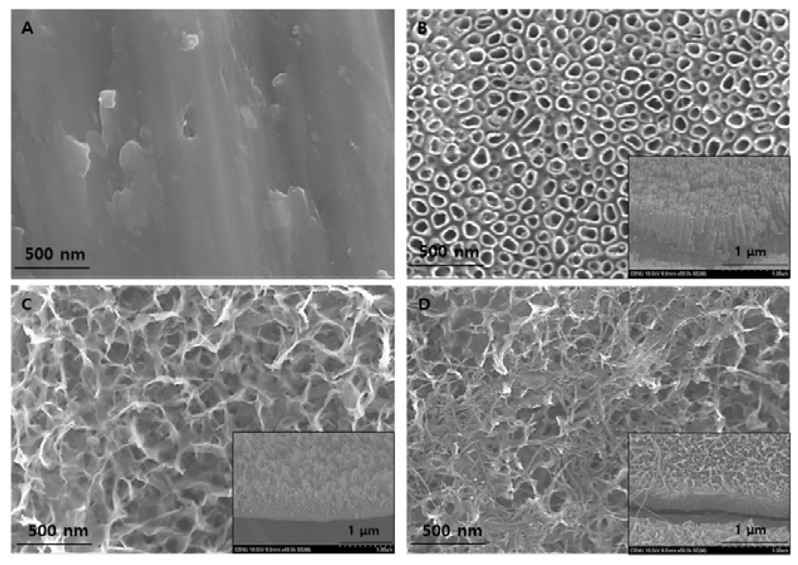 Coatings 08 00159 g001 550