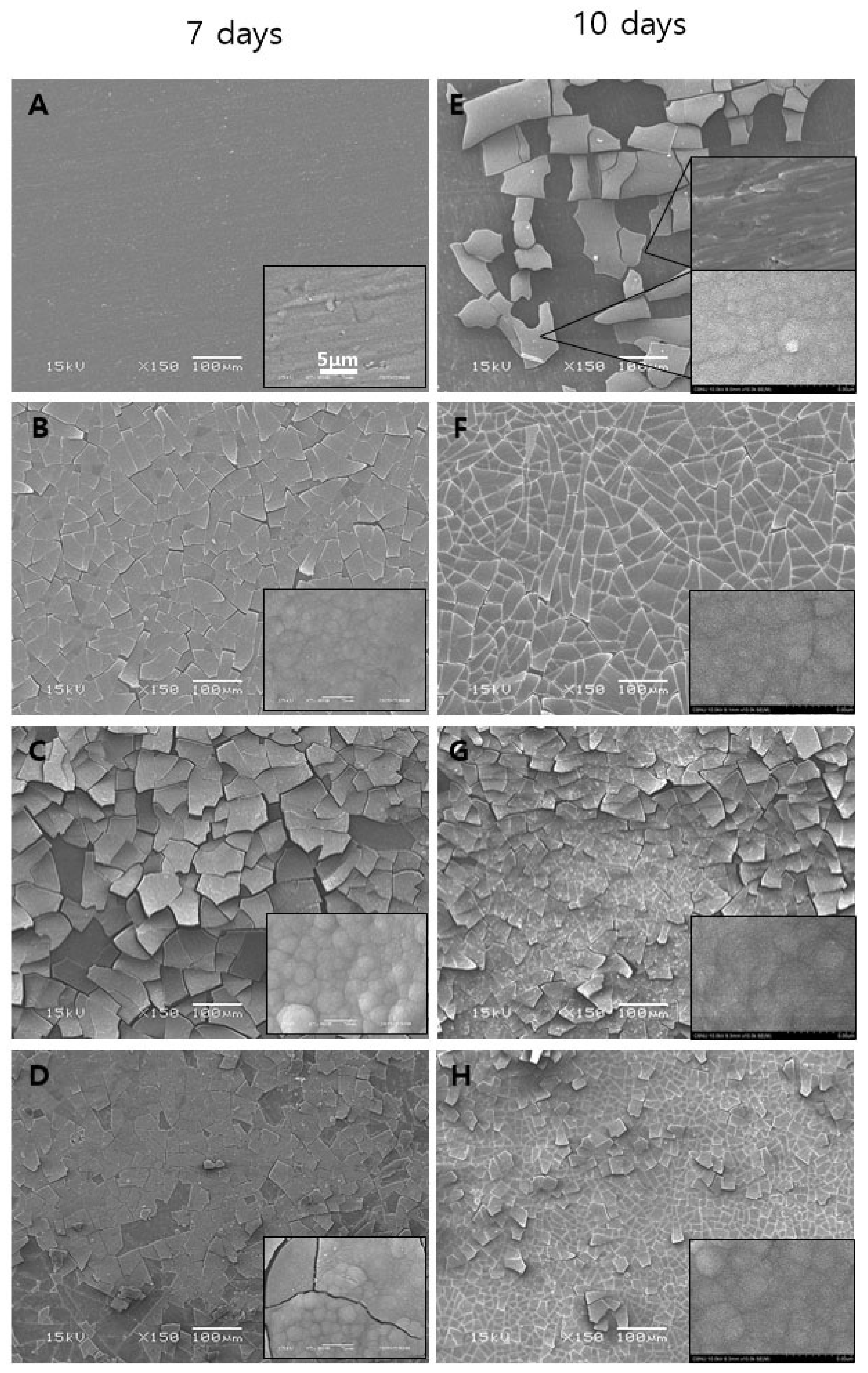 Coatings 08 00159 g004 550