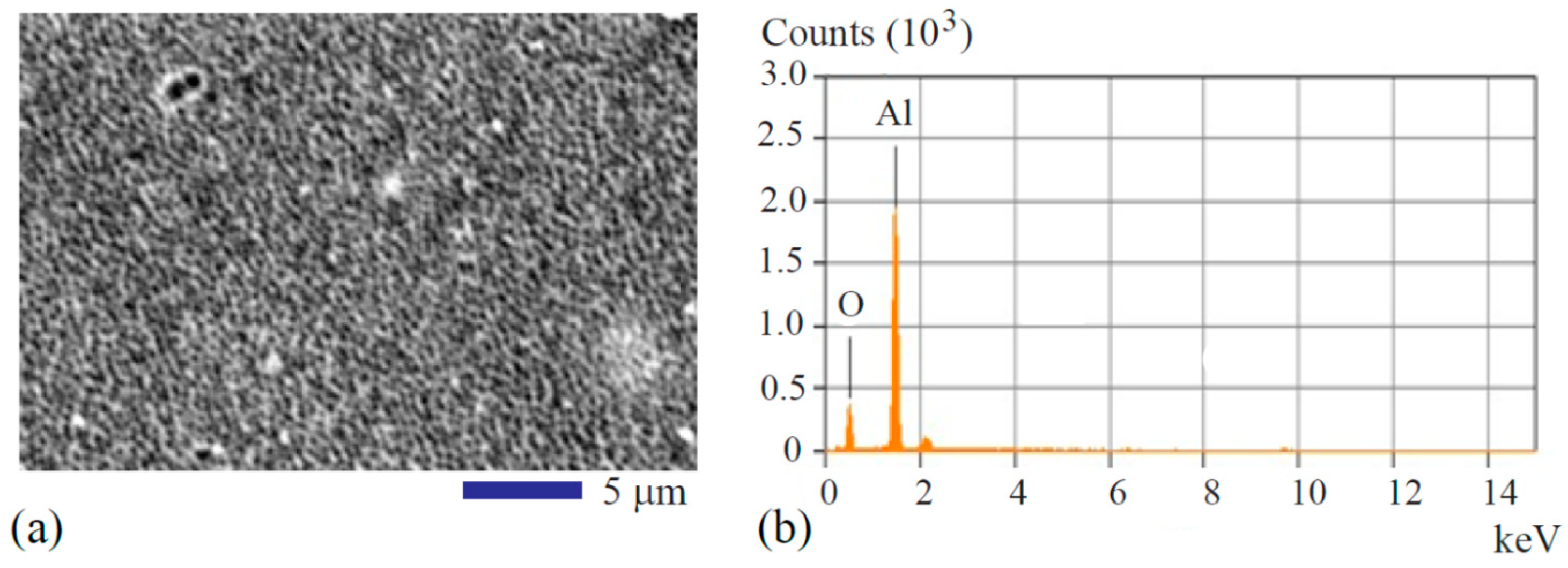 Coatings 08 00166 g002