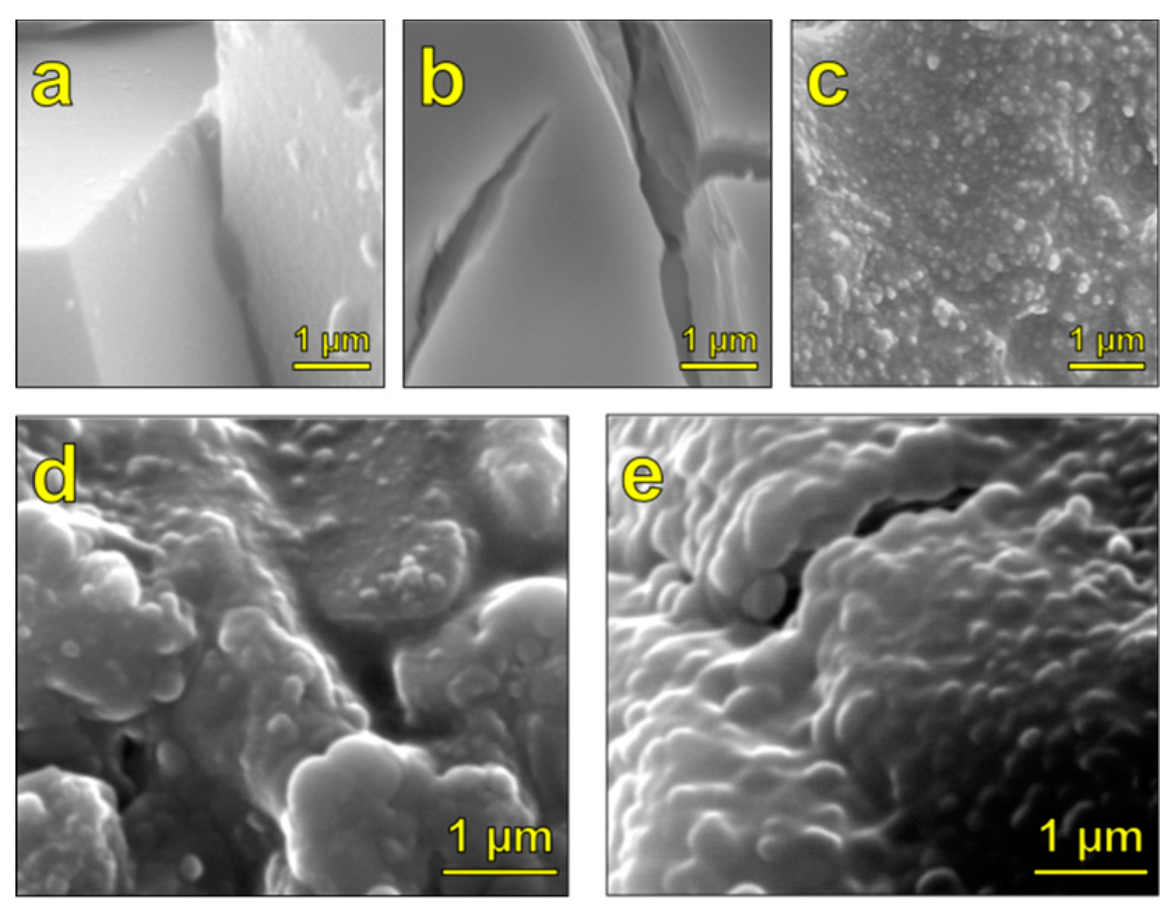 Coatings 08 00170 g003 550