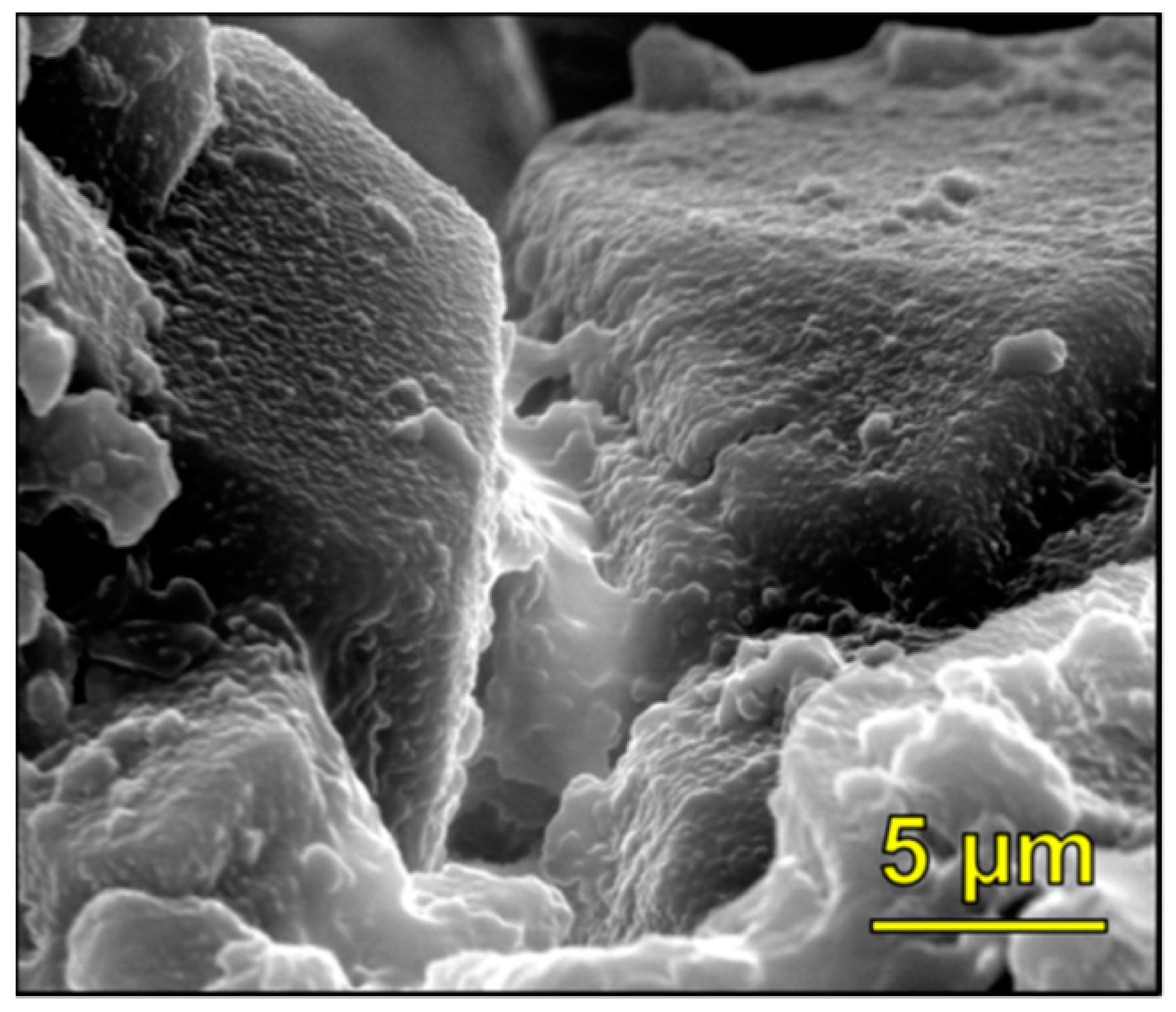 Coatings 08 00170 g004 550