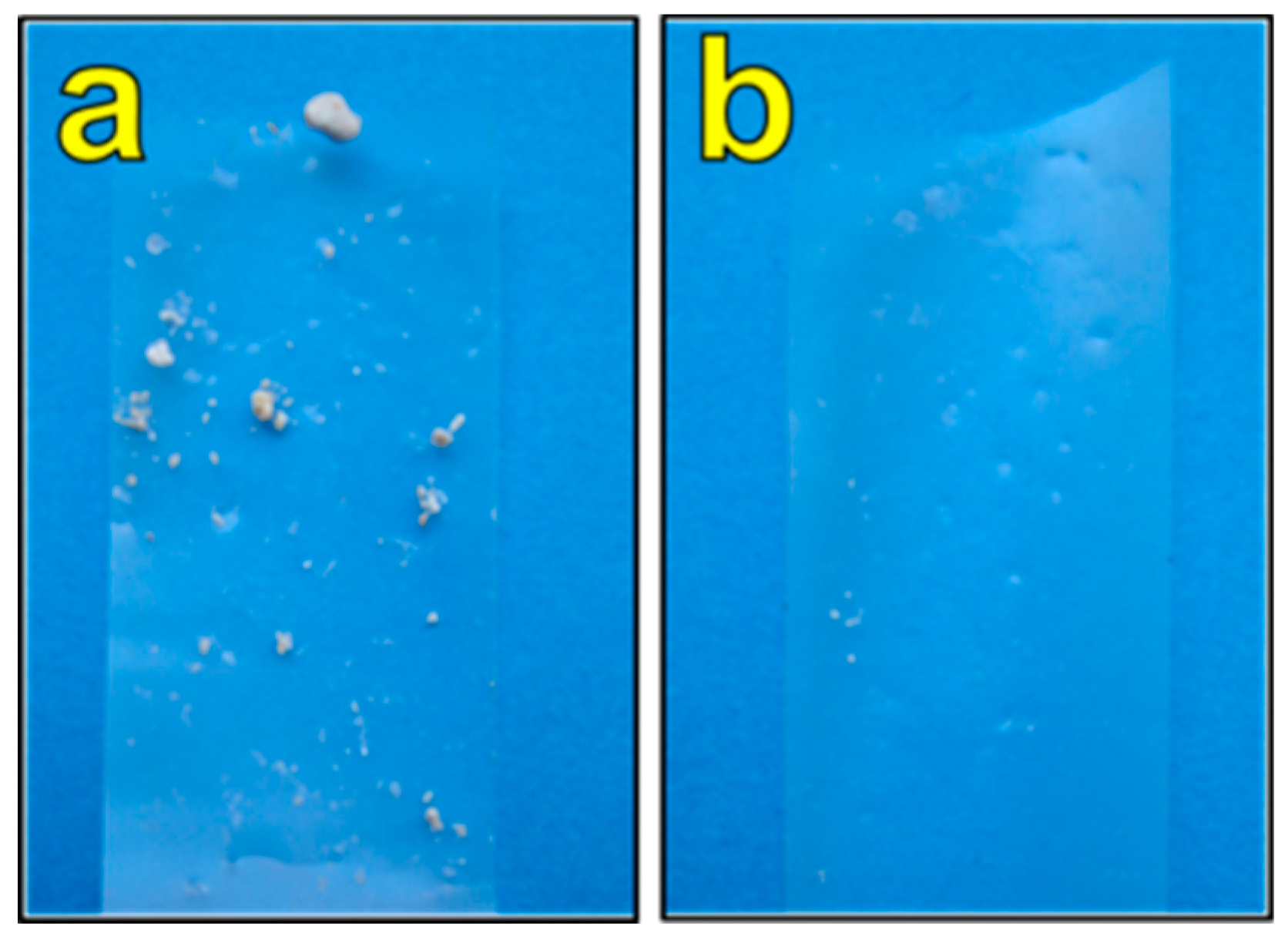 Coatings 08 00170 g008 550
