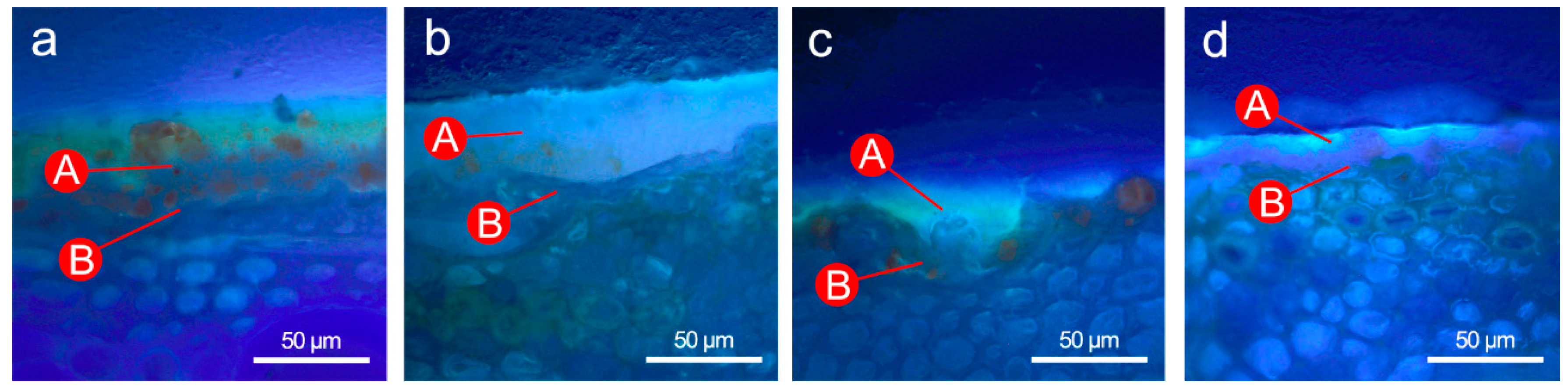 Coatings 08 00171 g003