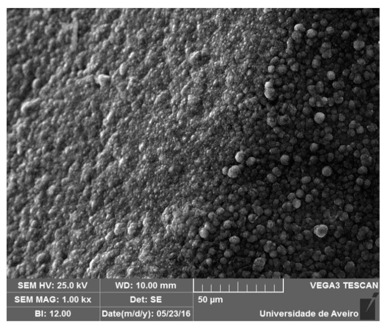 Coatings 08 00172 g007 Coatings 08 00172 g007