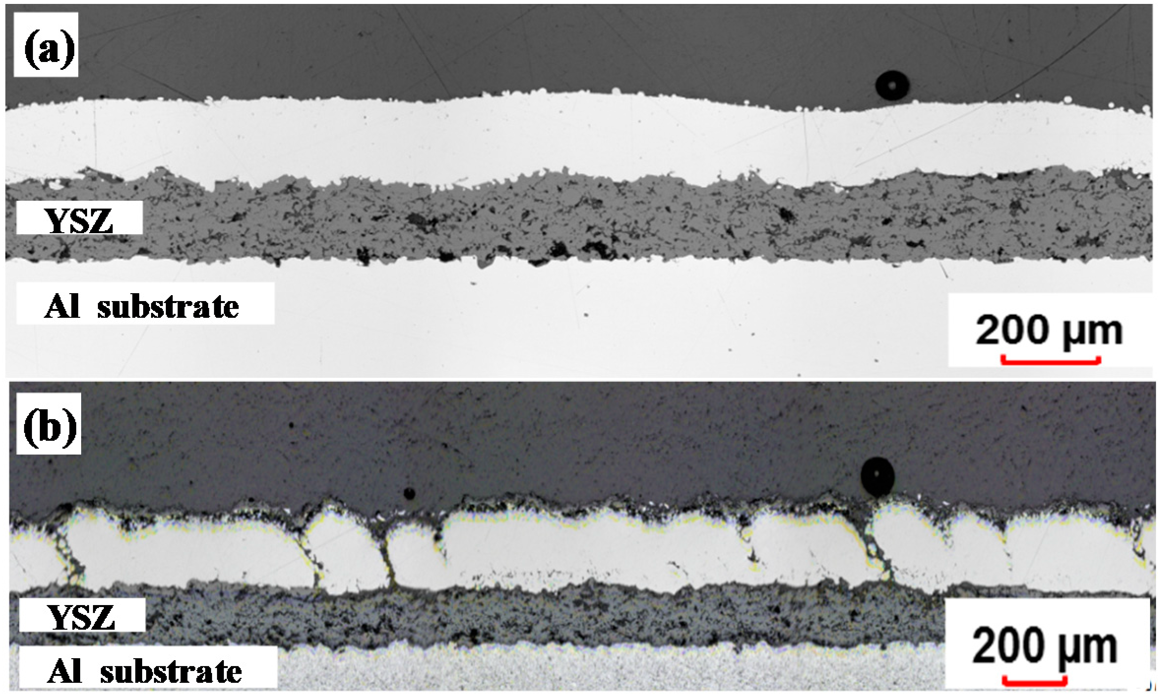Coatings 08 00176 g007
