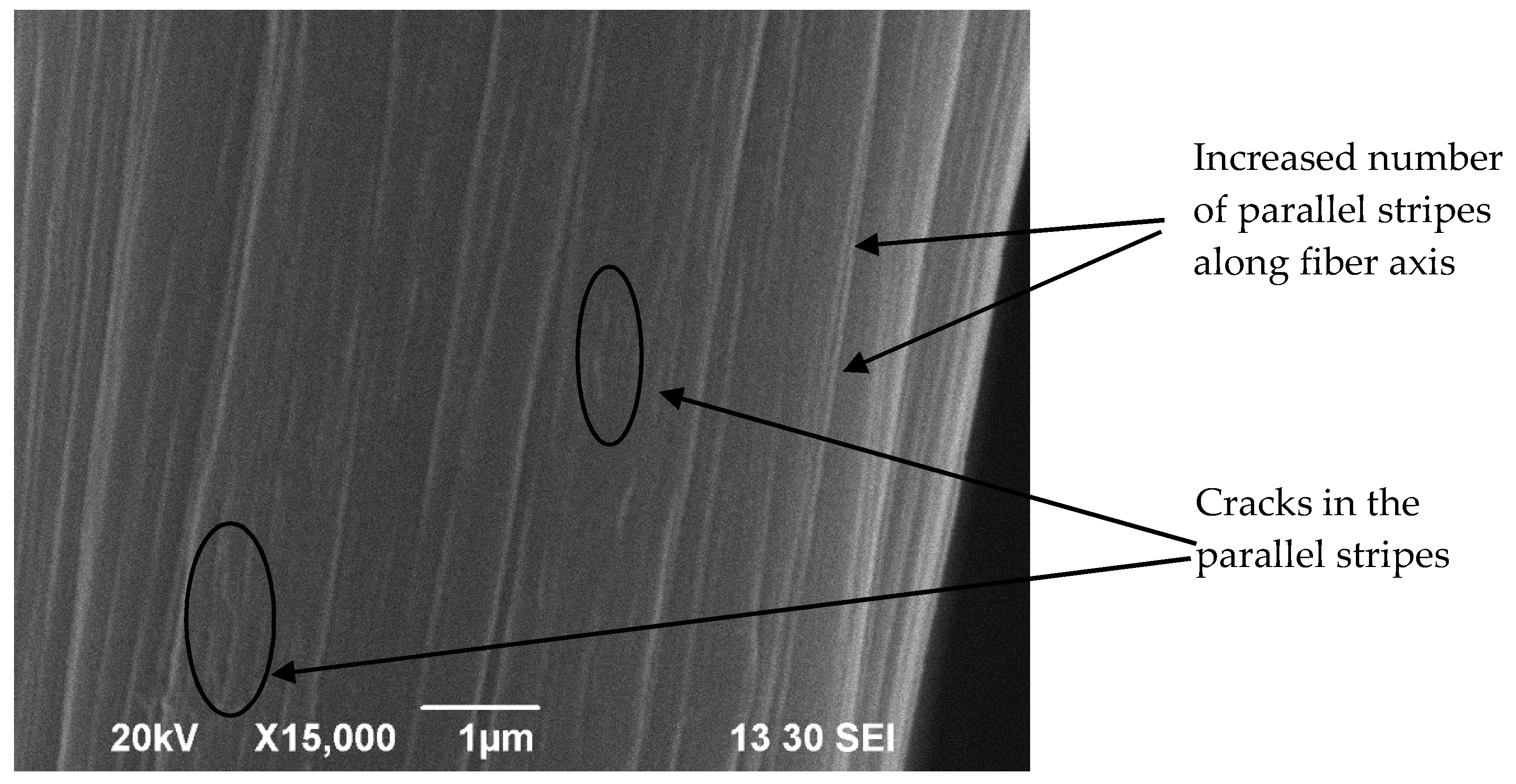 Coatings 08 00178 g004