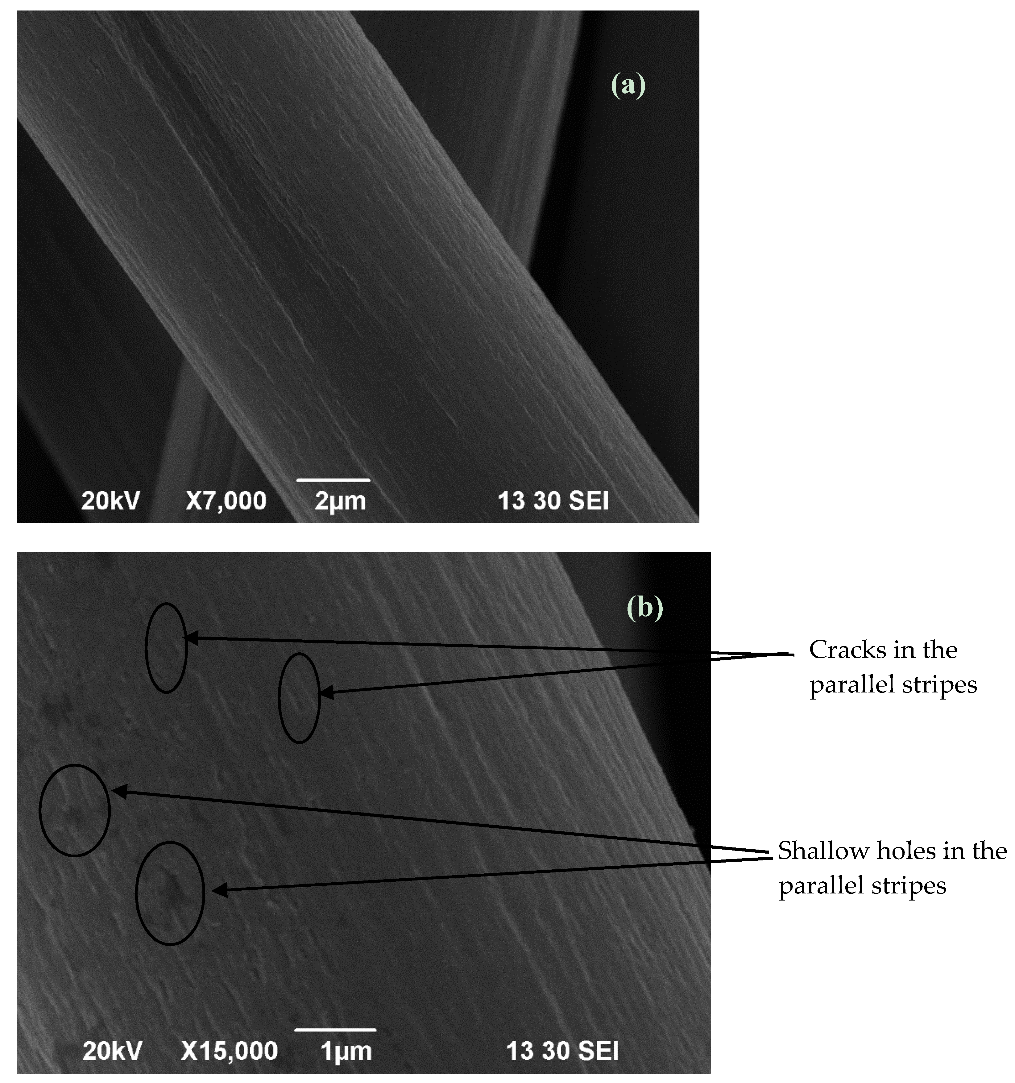 Coatings 08 00178 g006